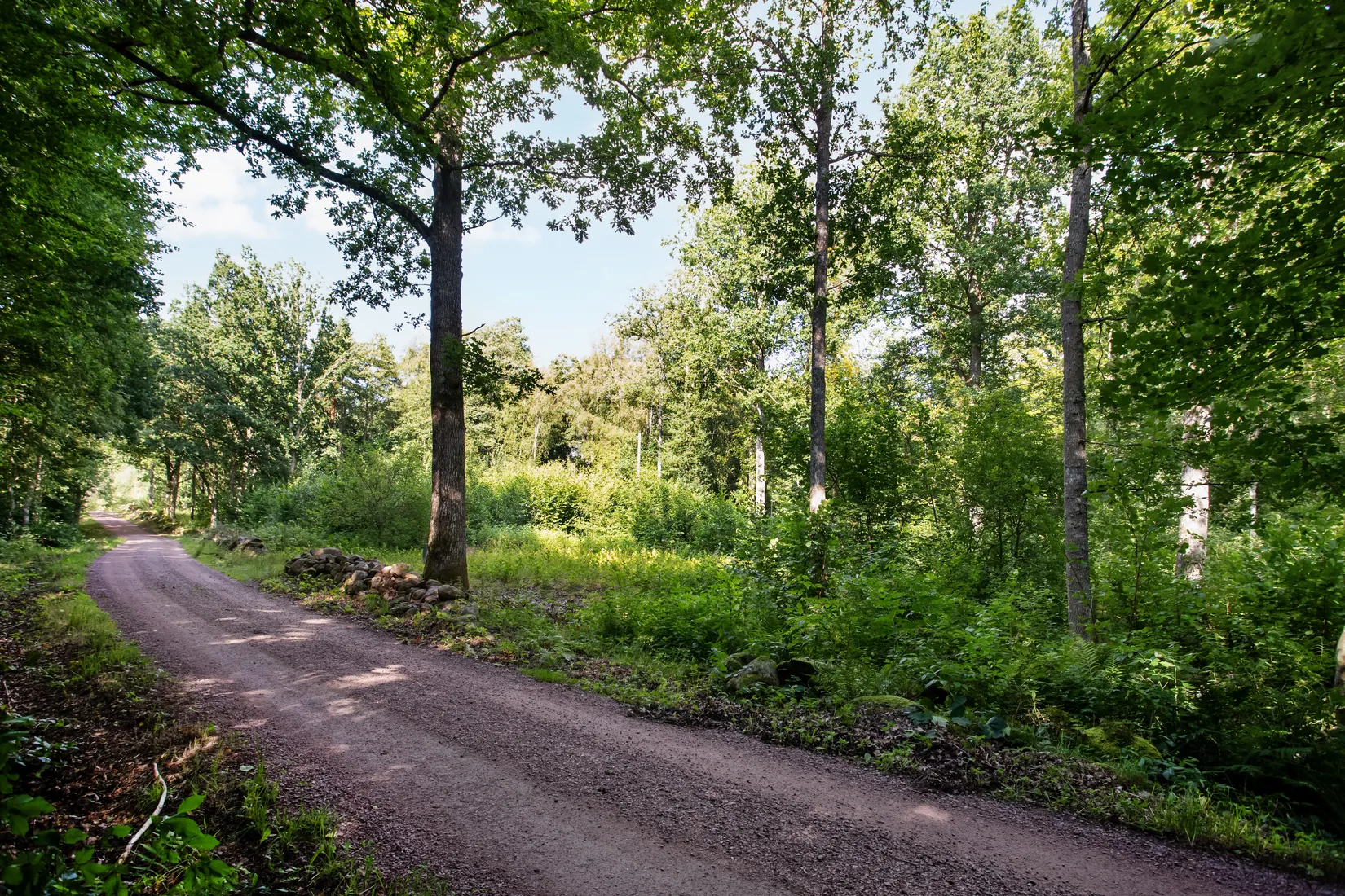Tomt, Killebodavägen 203, Arkelstorp, Kristianstad