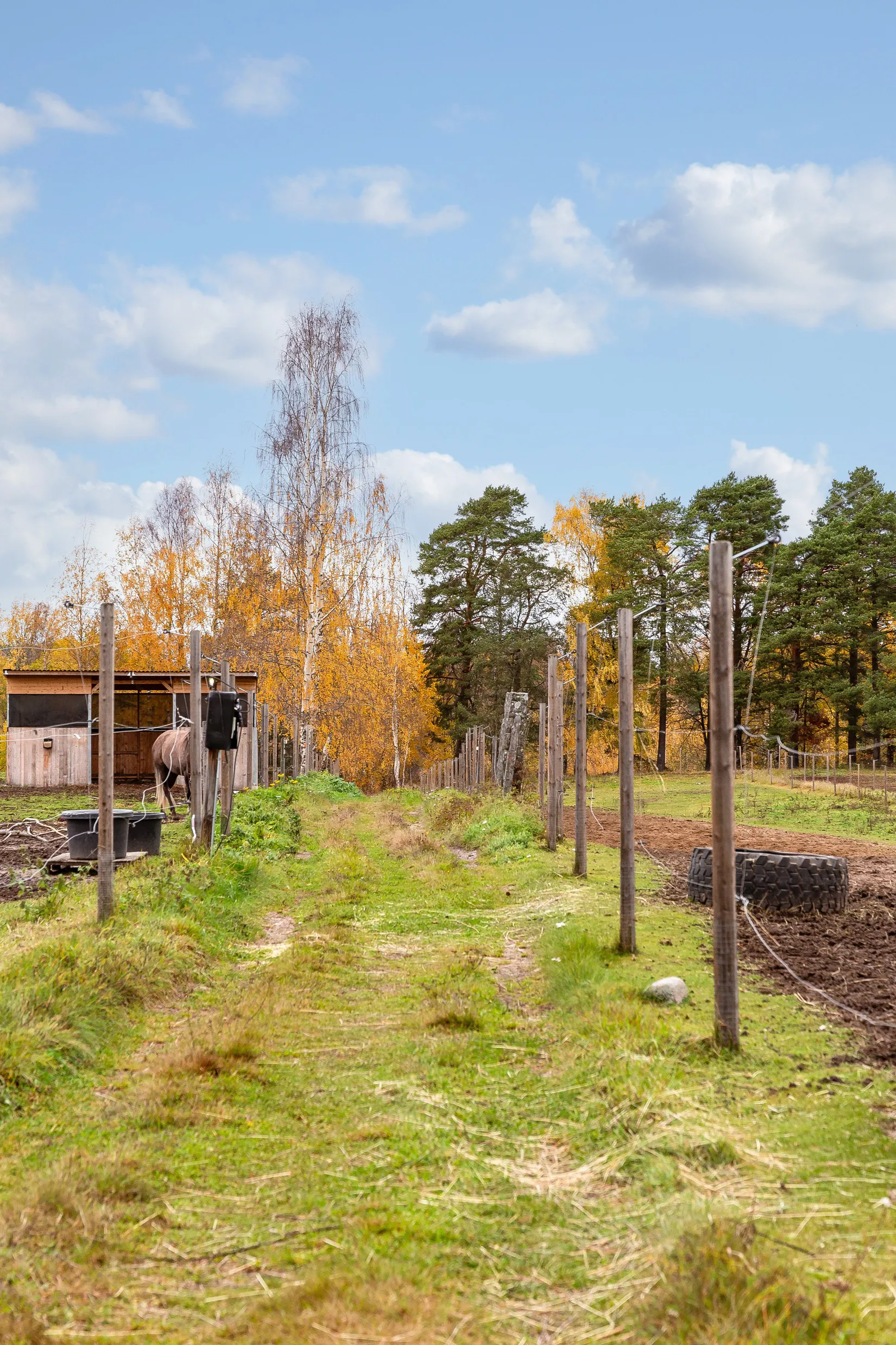 Gård/Skog, Borrvägen 77, Ljusdal, Lillhaga, Ljusdal