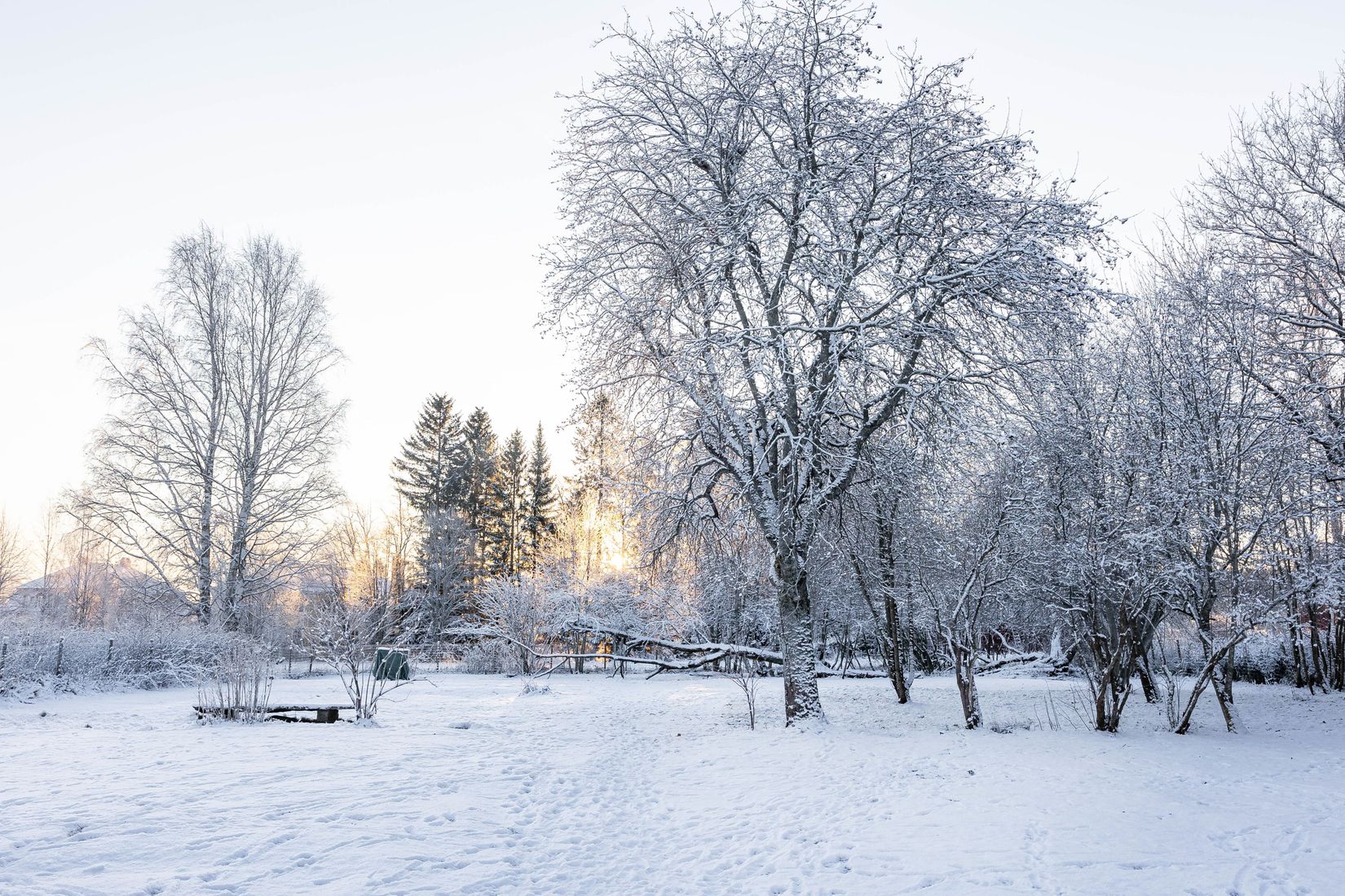 Gård/Skog, Borrvägen 77, Ljusdal, Lillhaga, Ljusdal
