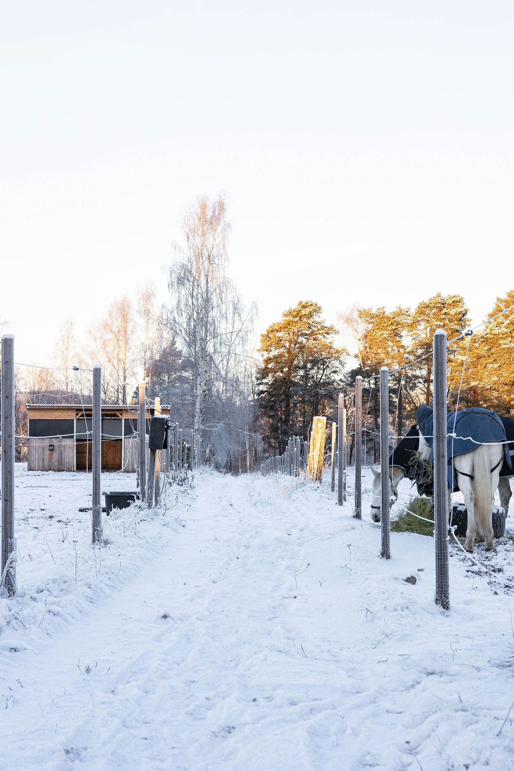 Gård/Skog, Borrvägen 77, Ljusdal, Lillhaga, Ljusdal