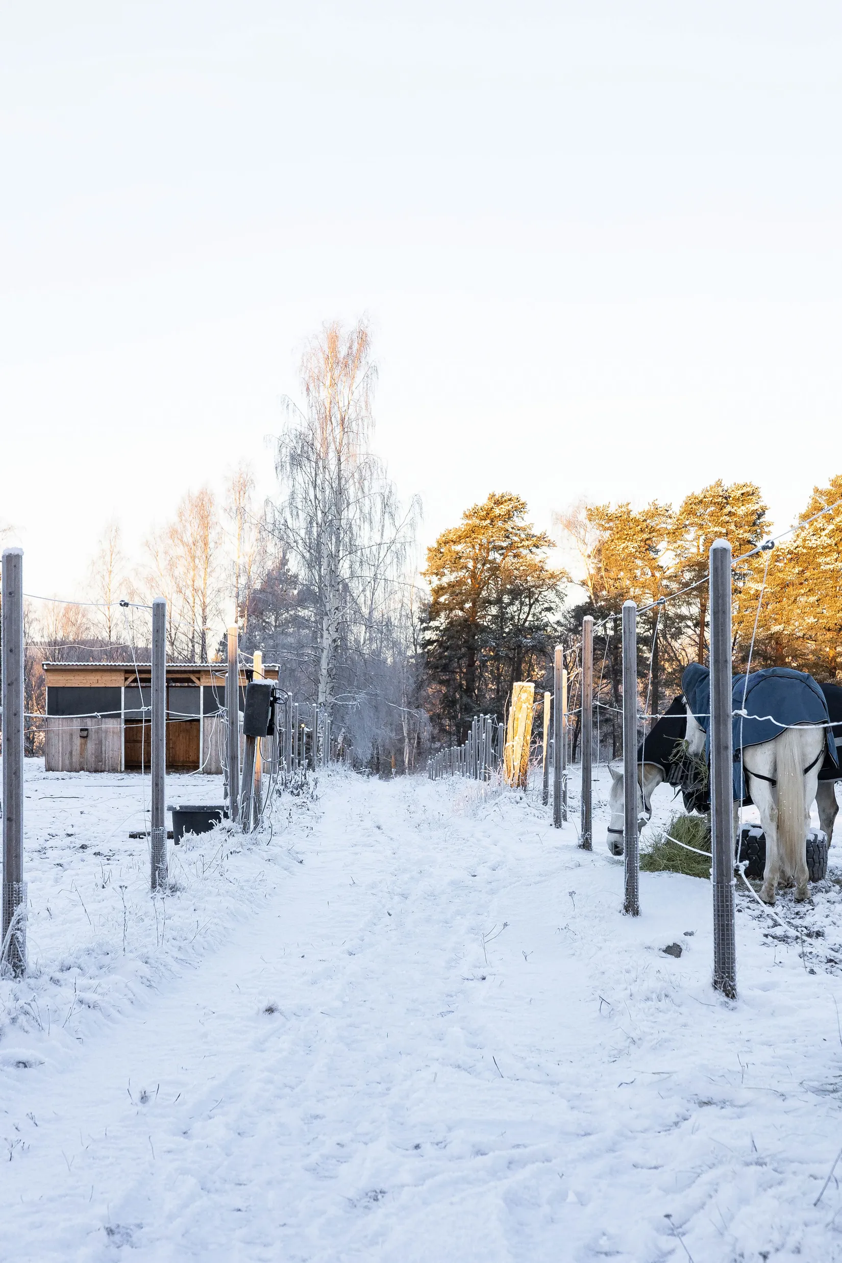 Gård/Skog, Borrvägen 77, Ljusdal, Lillhaga, Ljusdal