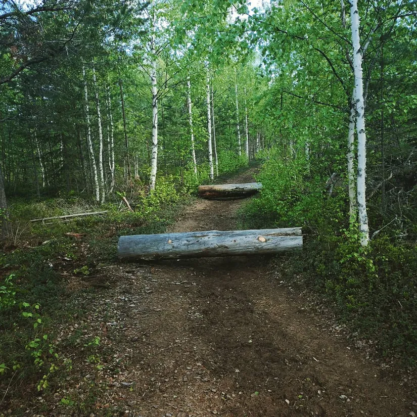 Gård/Skog, Borrvägen 77, Ljusdal, Lillhaga, Ljusdal