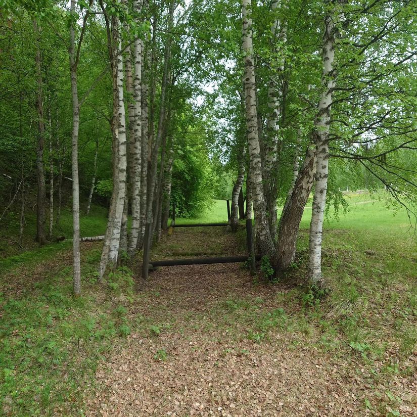 Gård/Skog, Borrvägen 77, Ljusdal, Lillhaga, Ljusdal