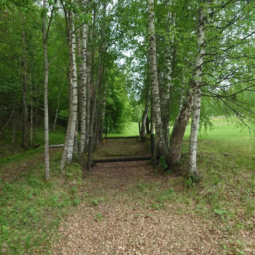 Gård/Skog, Borrvägen 77, Ljusdal, Lillhaga, Ljusdal