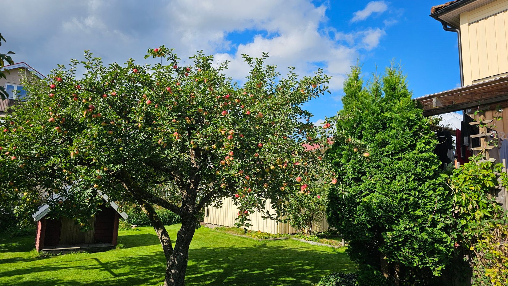 Villa, Tollstorpsgatan 3, Tullen, Borås