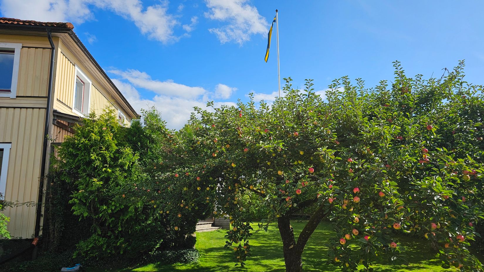 Villa, Tollstorpsgatan 3, Tullen, Borås