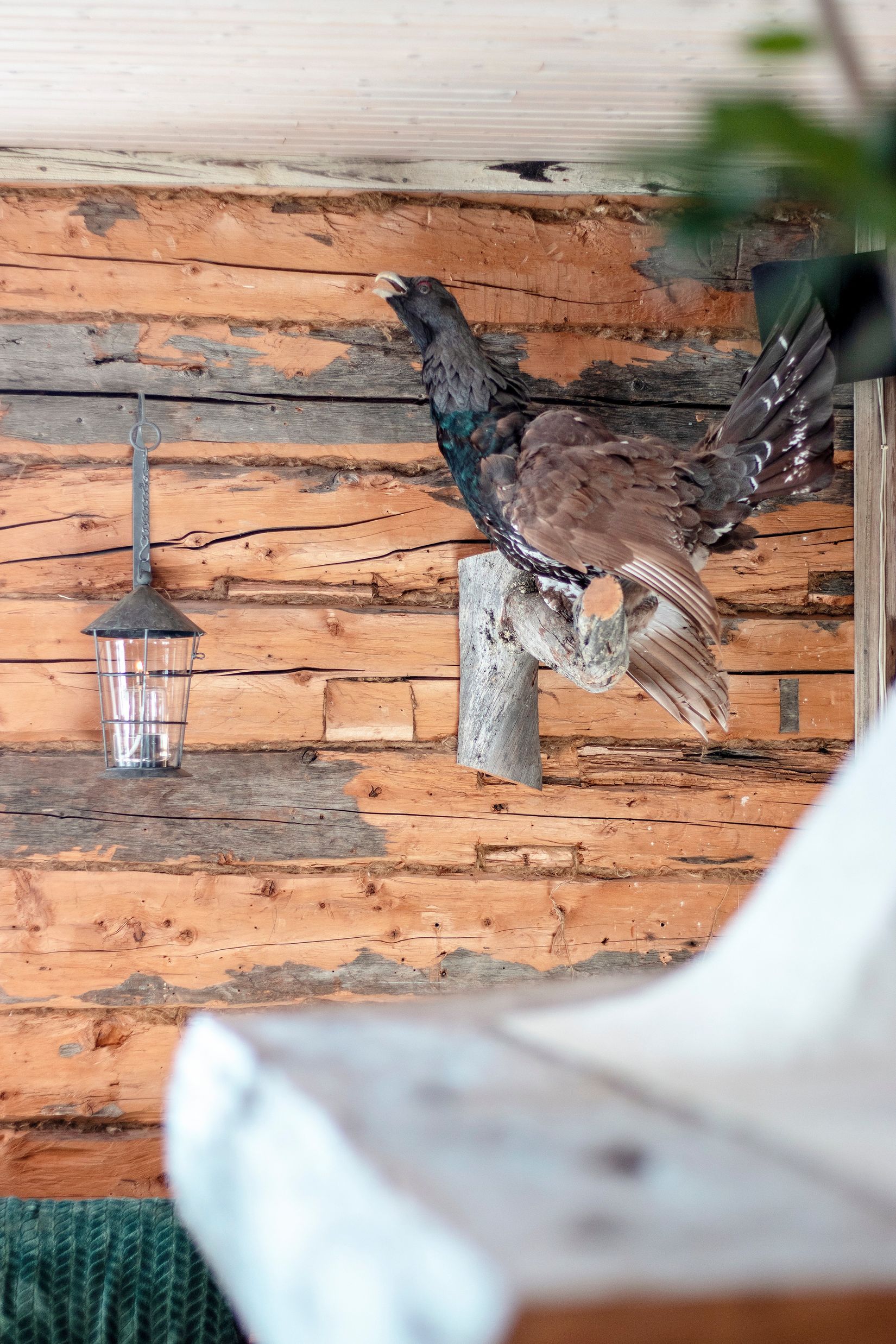 Villa, Vintergatan 52, Storlien, Åre