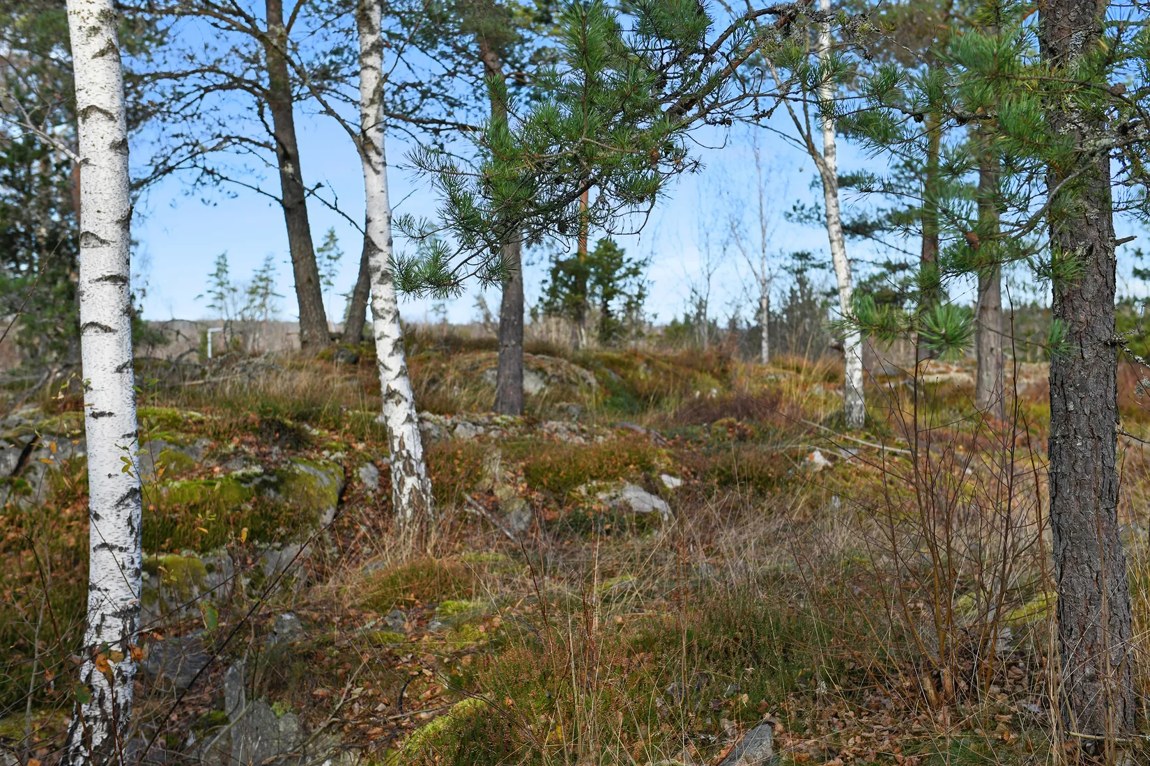 Tomt, Djupedalsvägen 10, Trollhättan