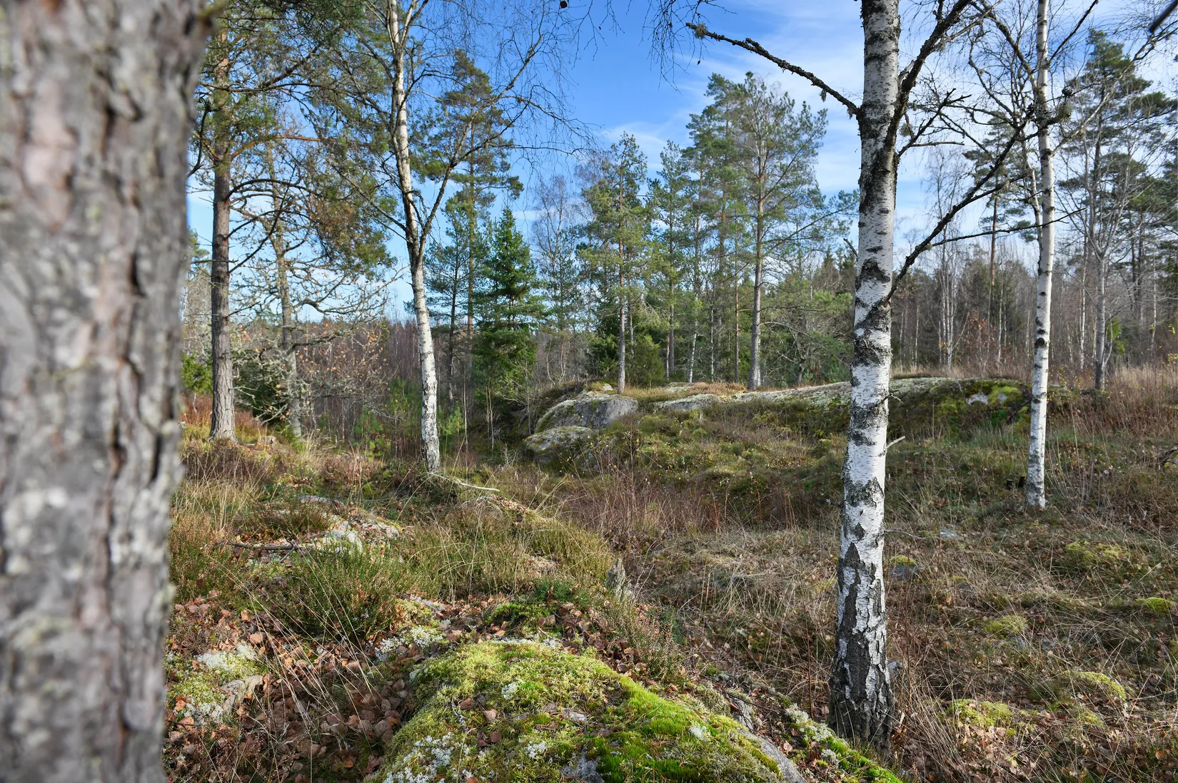 Tomt, Djupedalsvägen 10, Trollhättan