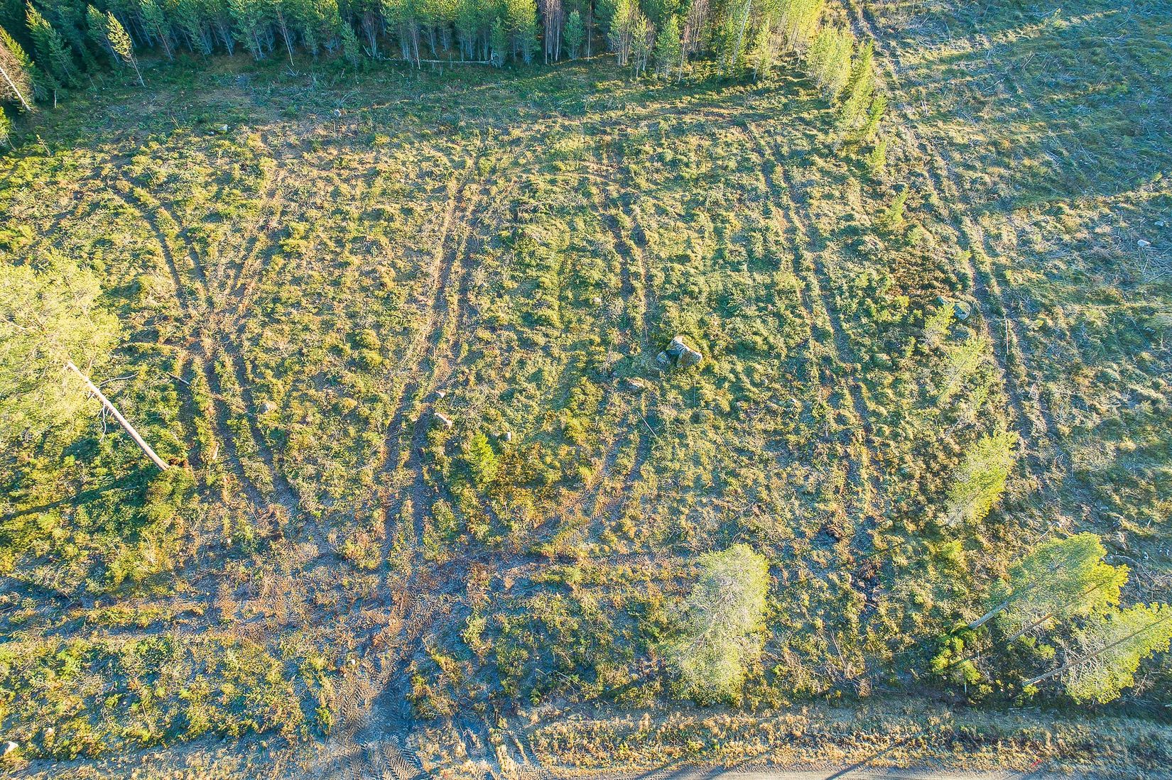 Tomt, Degernäs 567, Degernäs, Umeå