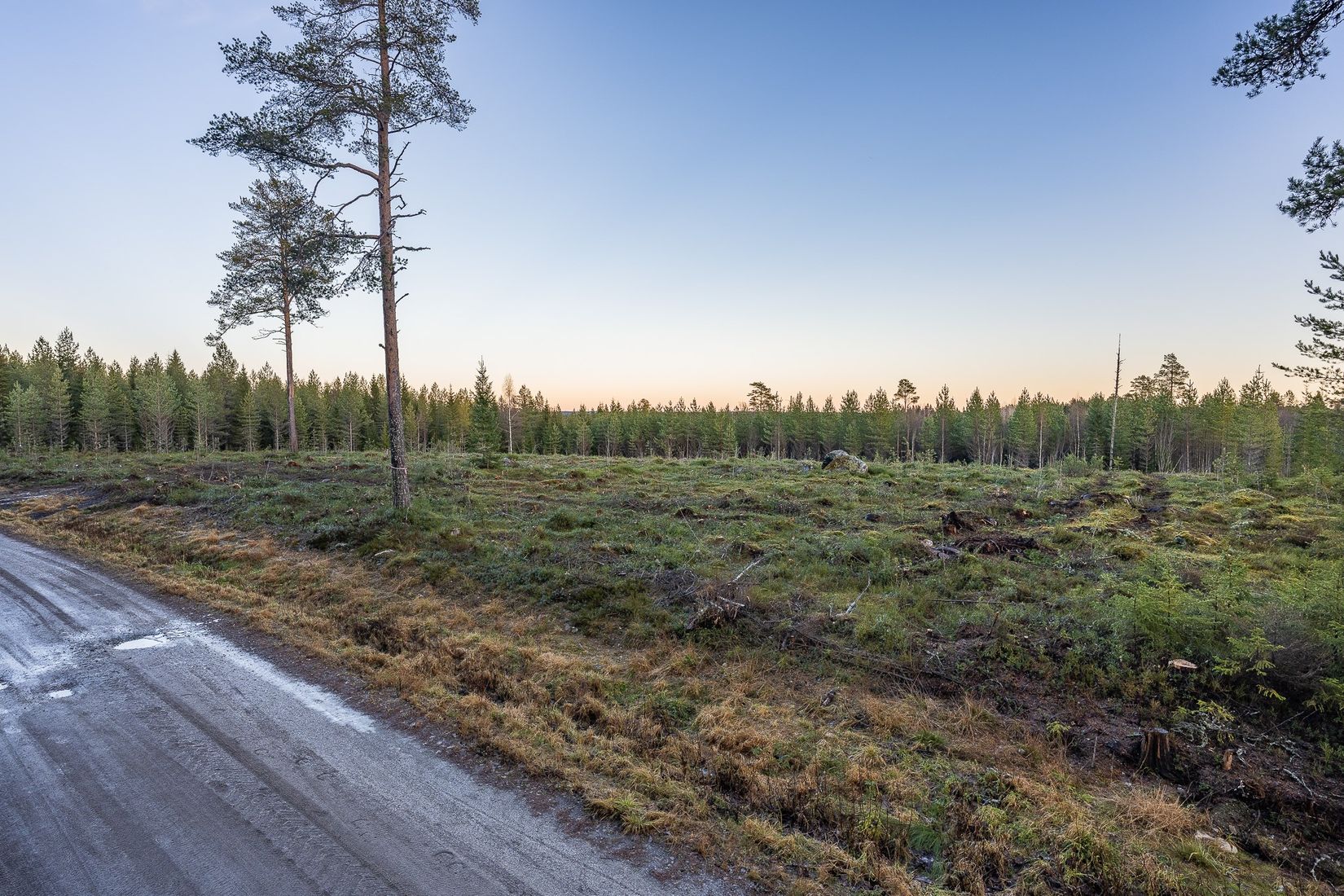 Tomt, Degernäs 567, Degernäs, Umeå