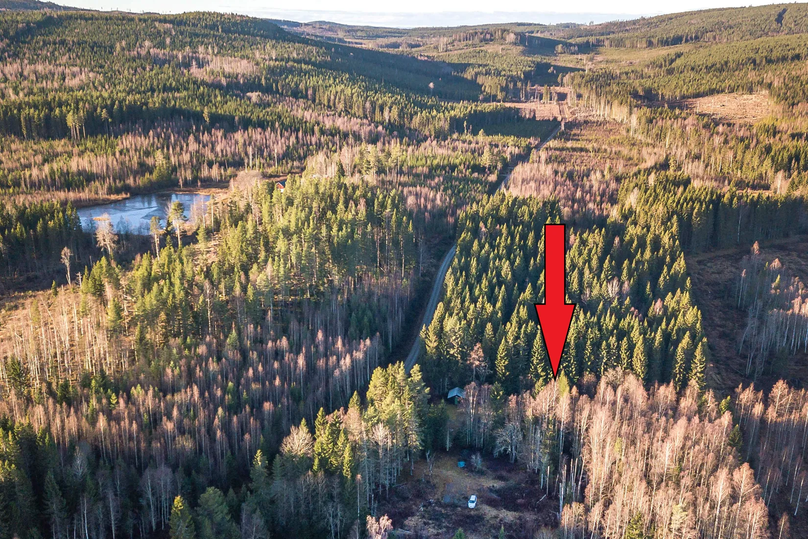 Tomt, Skräklevägen 176, Ljusdal, Gunnarsbo, Ljusdal