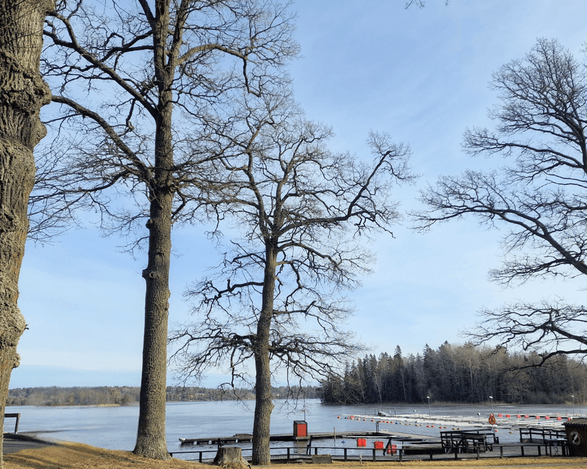 Villa, Dalgatan 12, Sparreholm, Flen