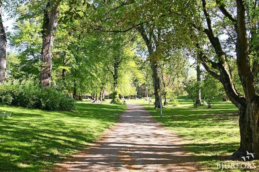 Bostadsrätt, Distansgatan 23C, Flatås, Göteborg