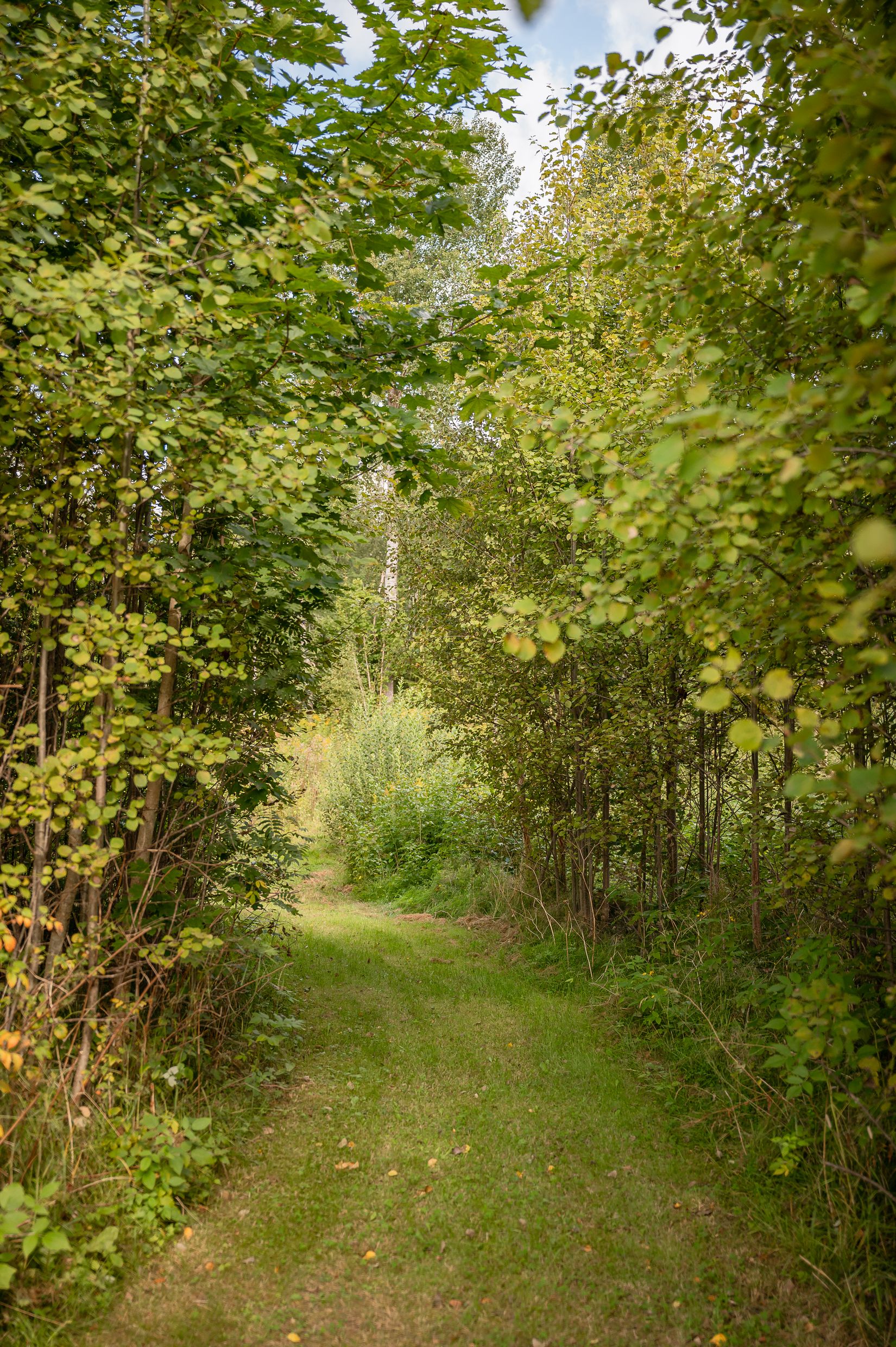 Tomt, Fågelviks-Lund, Karlstad
