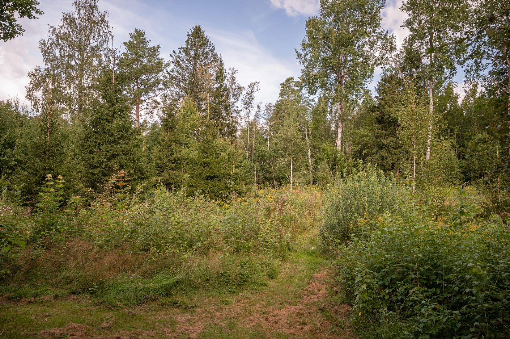 Tomt, Fågelviks-Lund, Karlstad