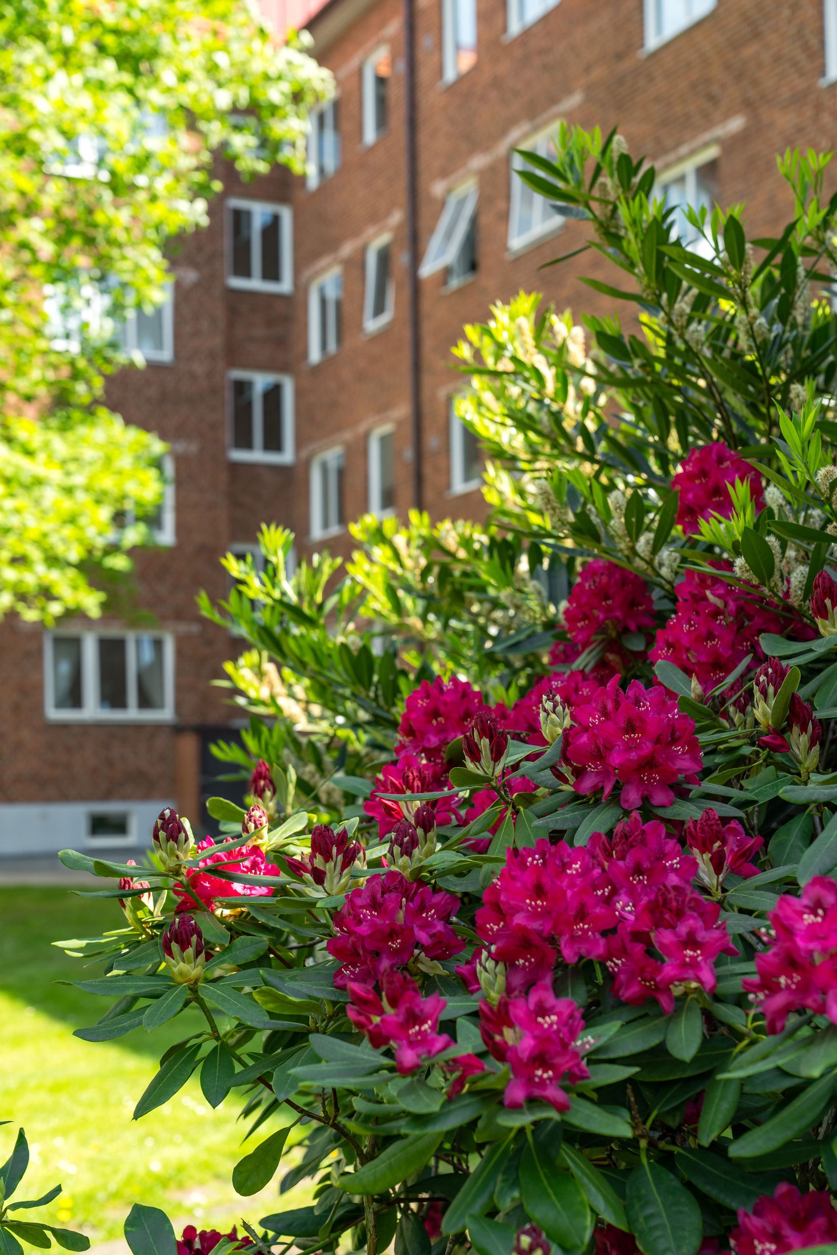 Bostadsrätt, Visitörsgatan 8, Eneborg, Helsingborg