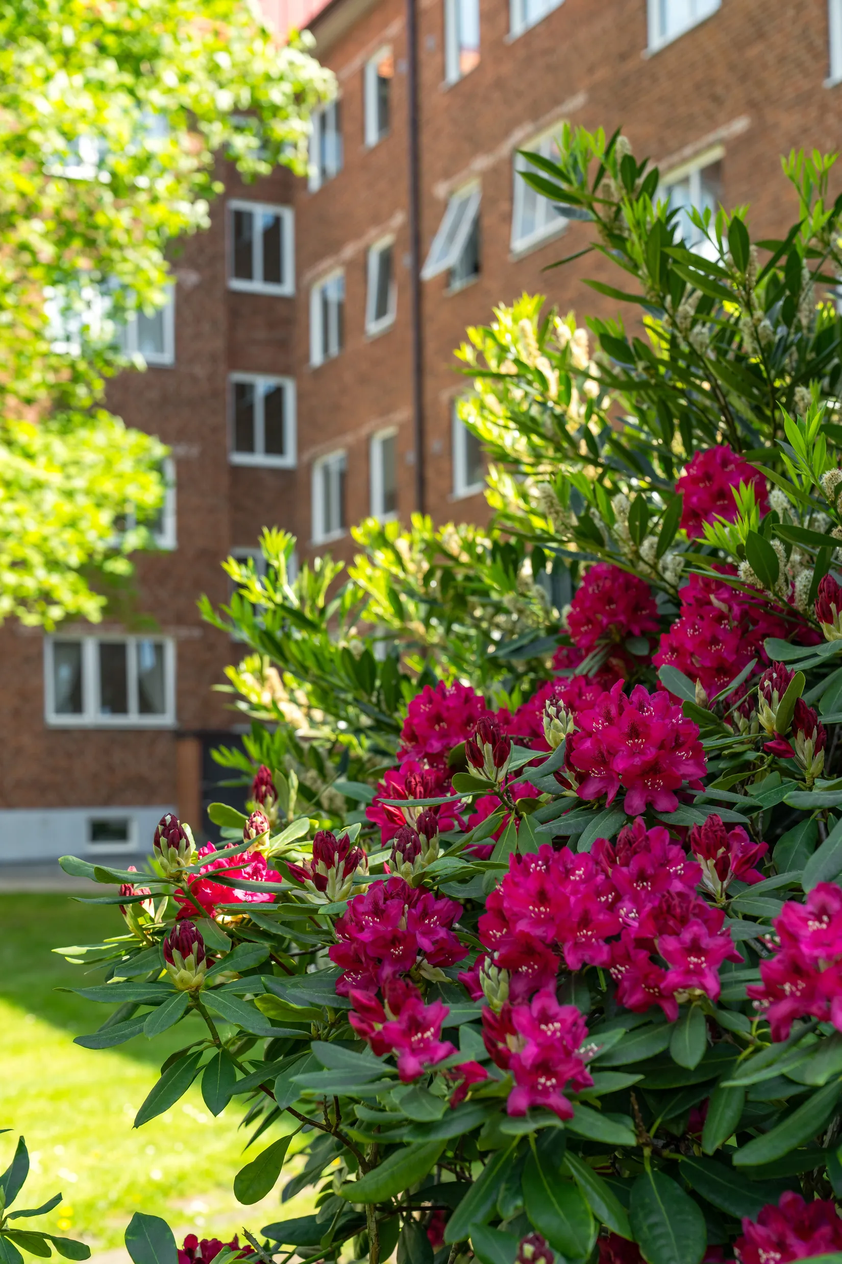 Bostadsrätt, Visitörsgatan 8, Eneborg, Helsingborg