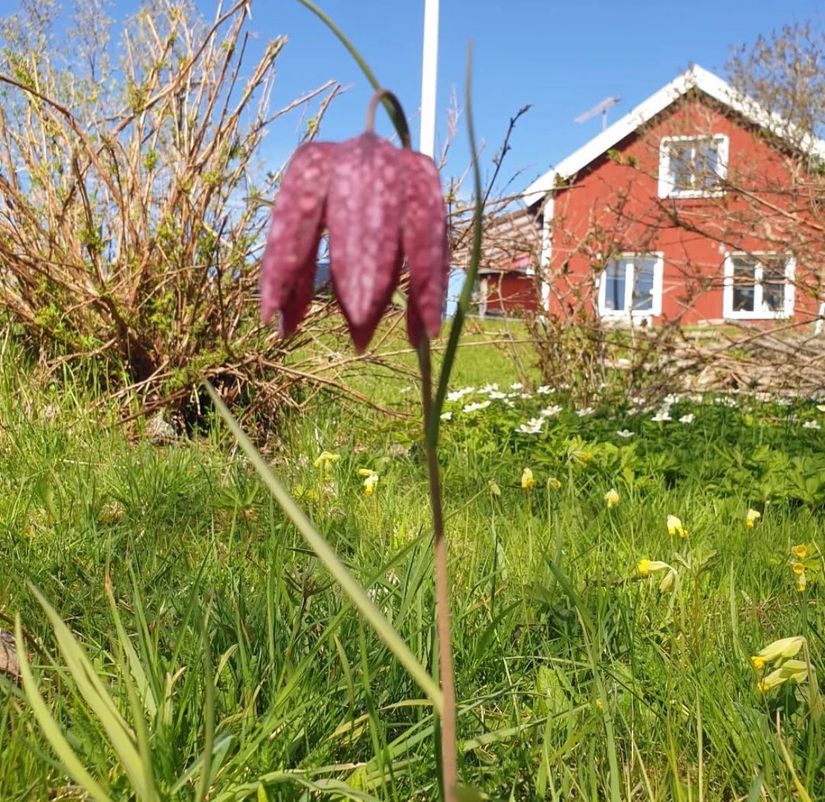 Villa, Häverö kyrkväg 221, Hallstavik, Norrtälje