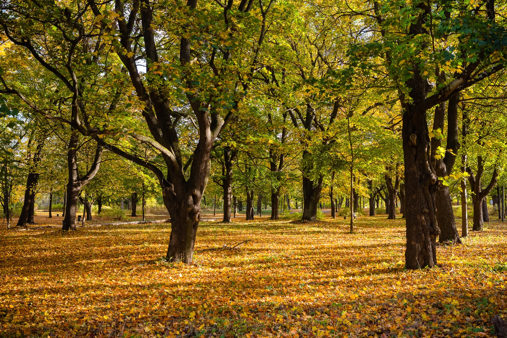 Bostadsrätt, Babordsgatan 9, Hammarby Sjöstad, Stockholm