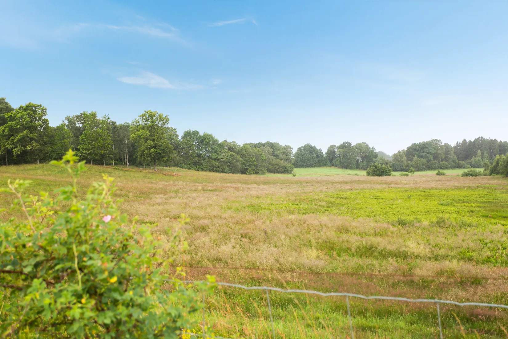 Gård/Skog, Aggarpsvägen, Munka Ljungby, Ängelholm