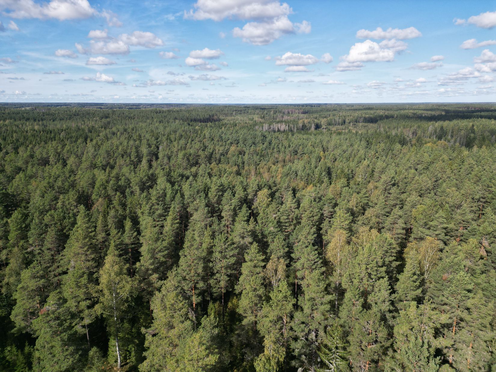 Fritidshus, Enens väg 5, Burvik, Uppsala