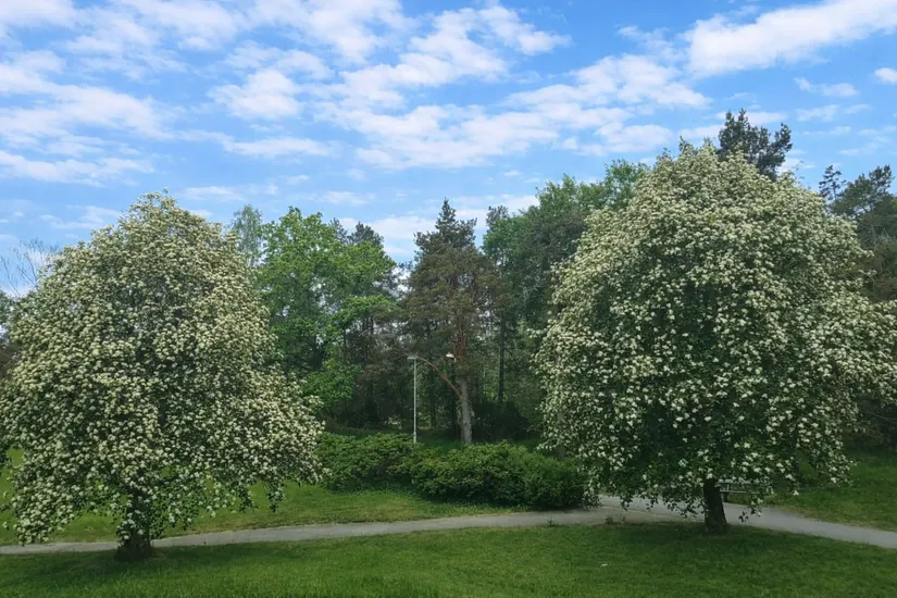 Bostadsrätt, Torggatan 4C, Nacka