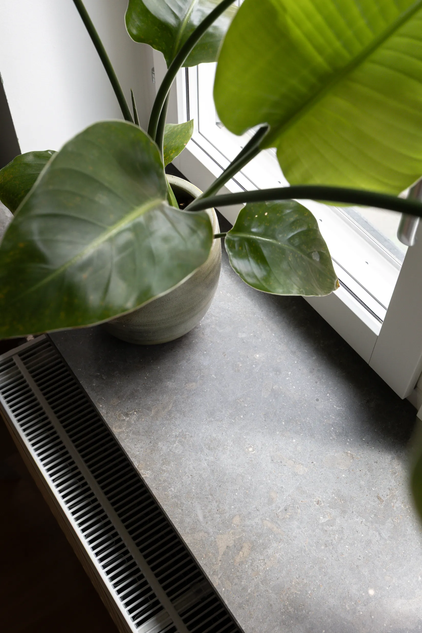 Bostadsrätt, Typografgatan 4B, Möllevången, Malmö