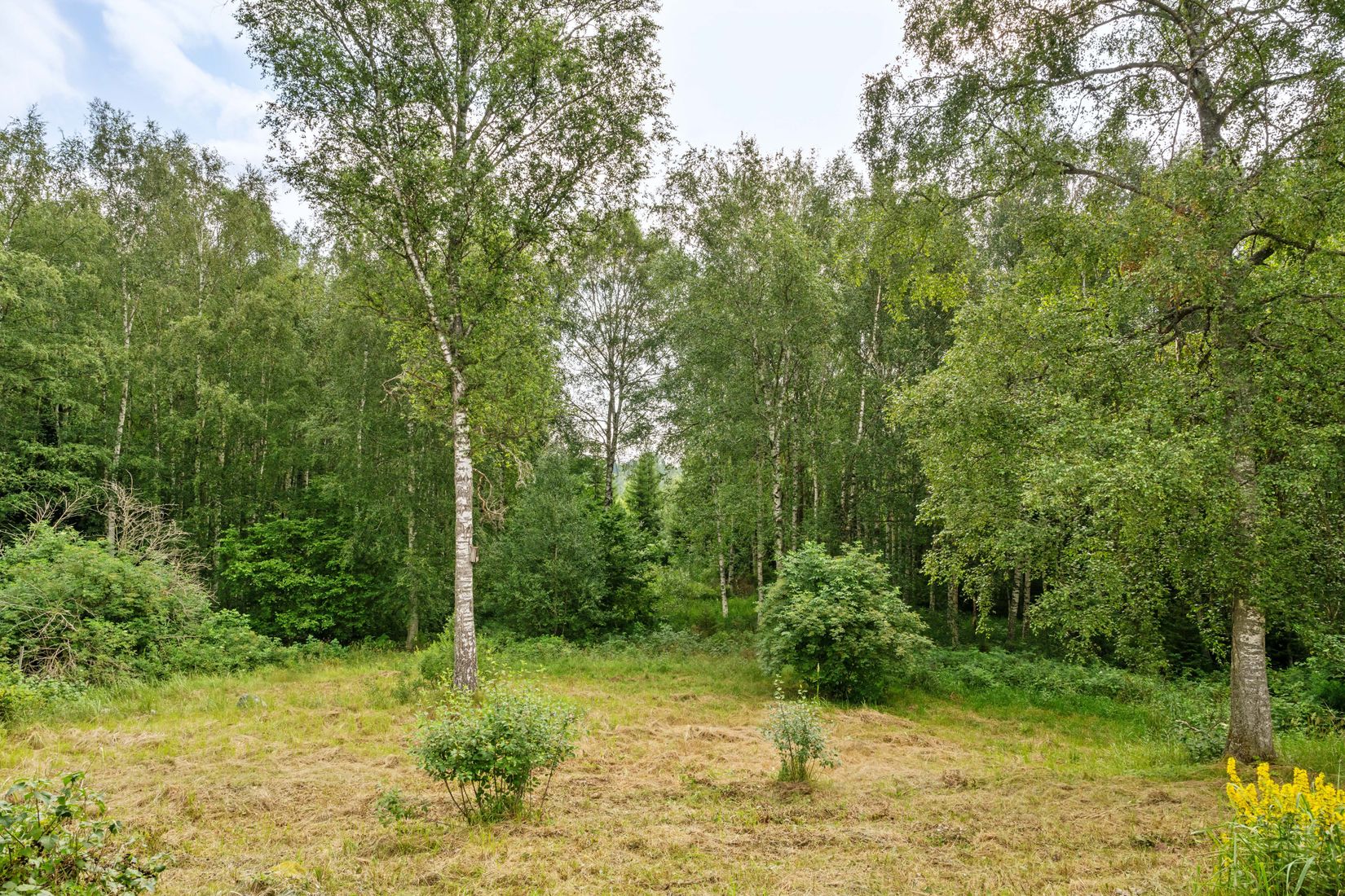 Fritidshus, Österlisa 8, Österlisa, Norrtälje