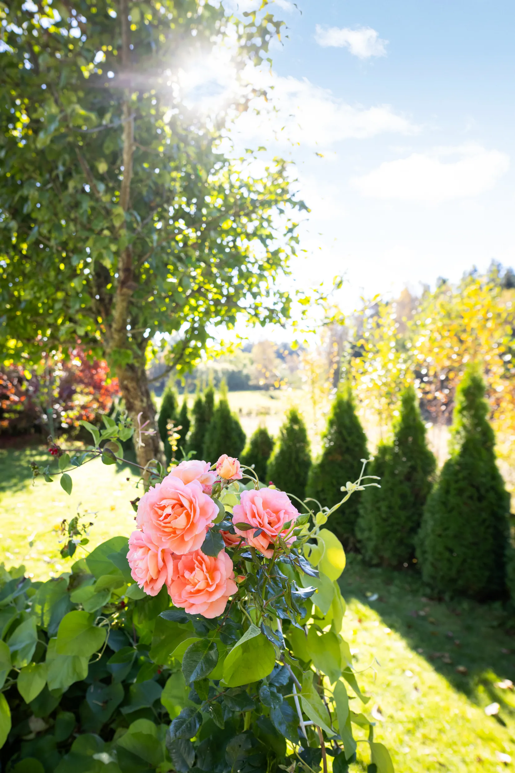 Villa, Lyckås 363, Älvängen, Ale