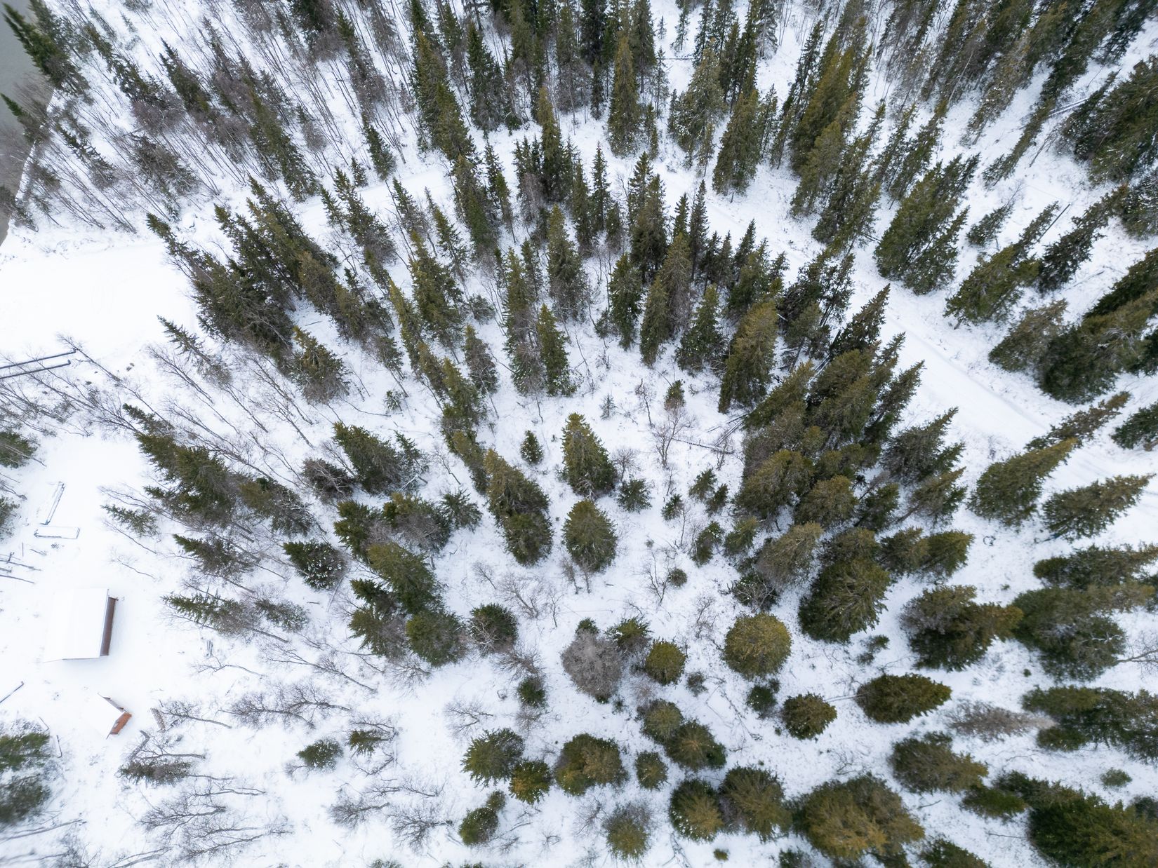 Tomt, Boksjön 337, Tärnaby, Storuman