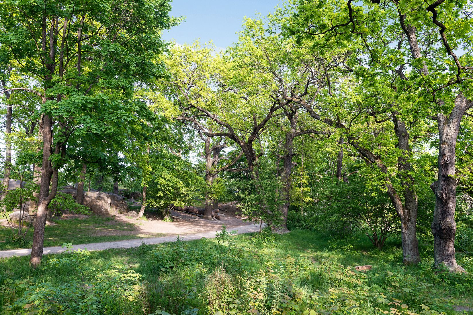 Bostadsrätt, Rorgängargatan 7, Hammarby Sjöstad, Stockholm