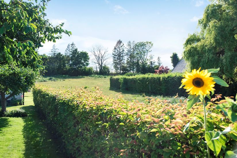 Villa, Öja byaväg 21, Öja by, Ystad