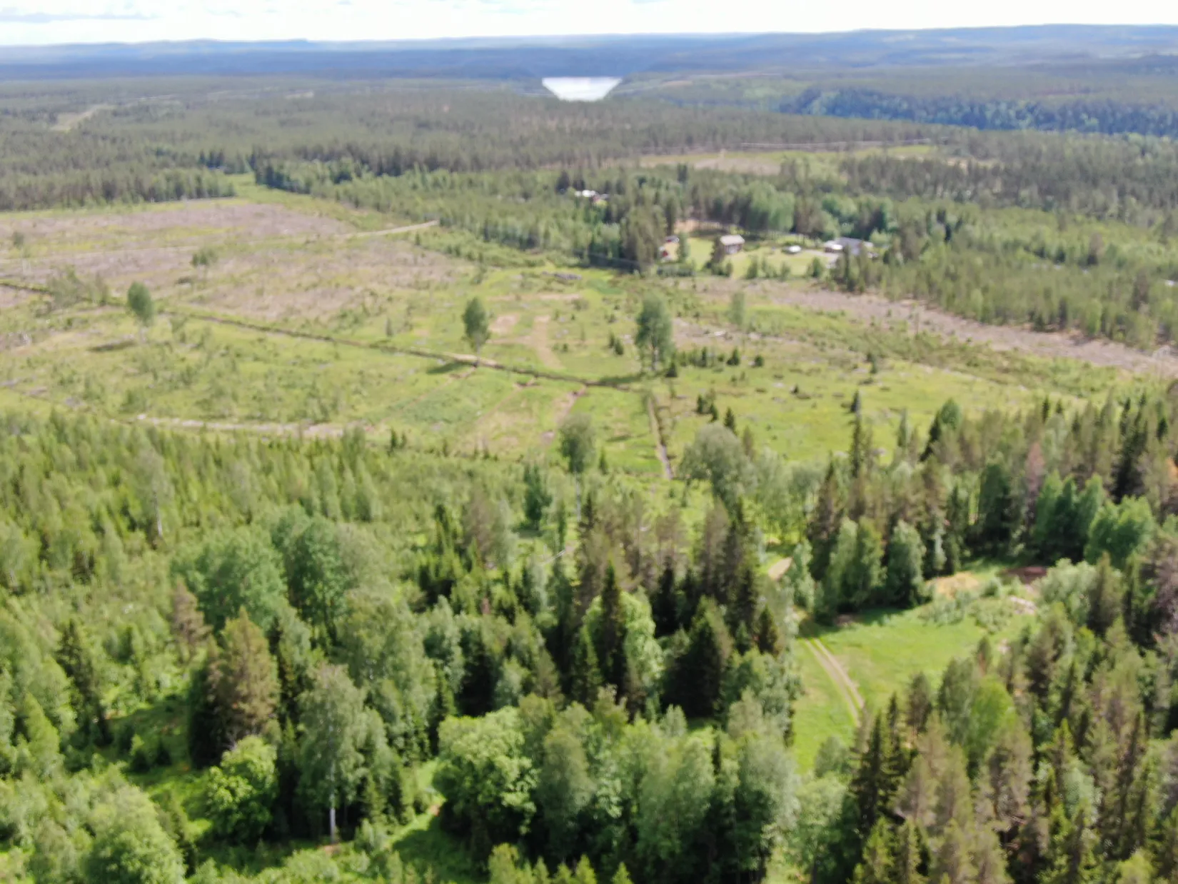 Tomt, SKELLEFTEÅ-FORSBERGET 1:7, Skellefteå