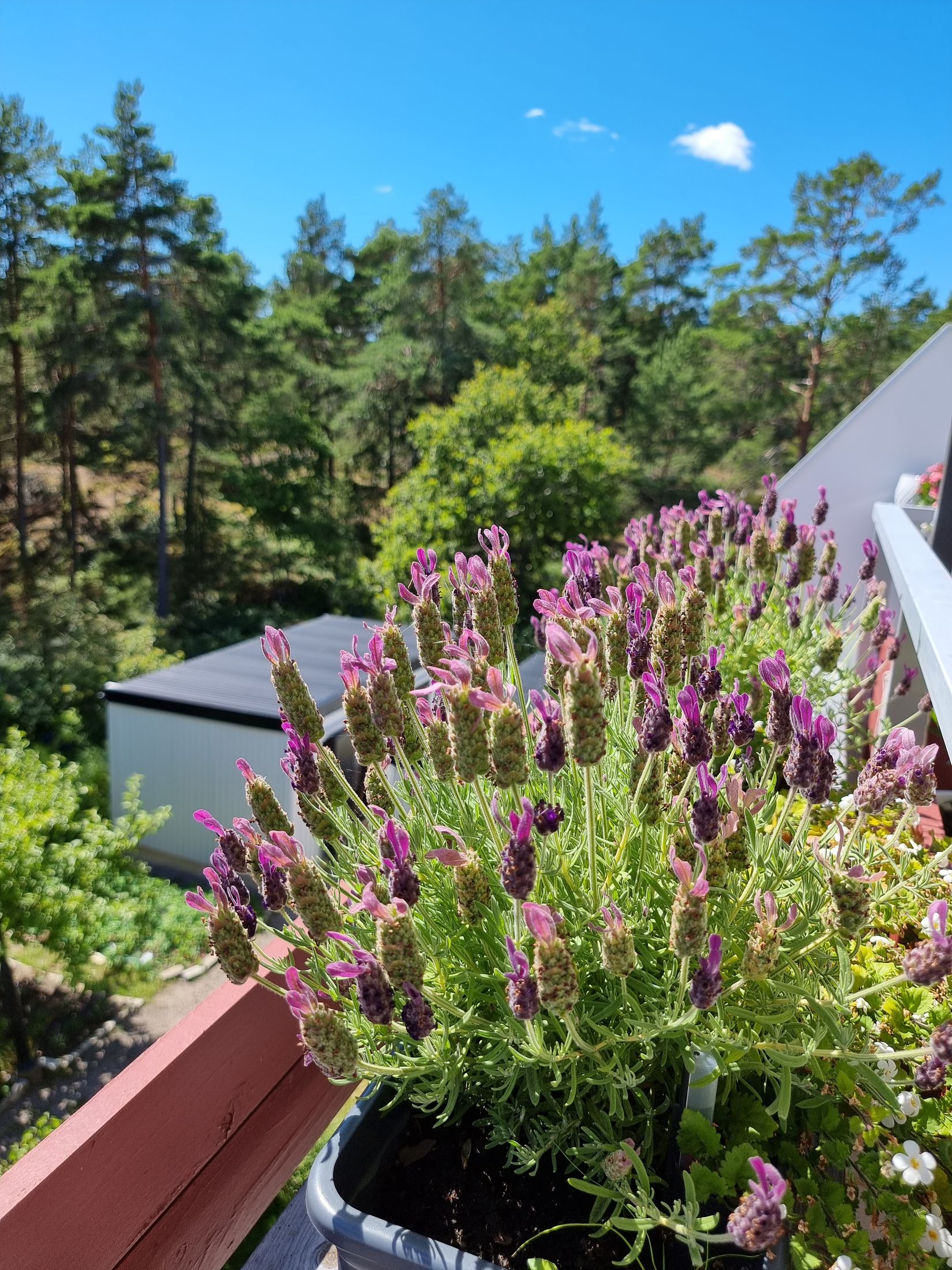 Bostadsrätt, Rubinstigen 37, Kungsängen/Tibblehöjden, Upplands-Bro