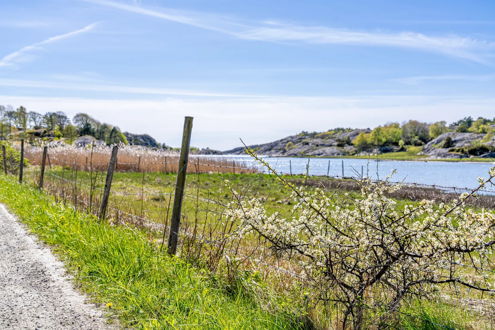 Tomt, Lilla Vallarnavägen 5, Skaftö, Lysekil