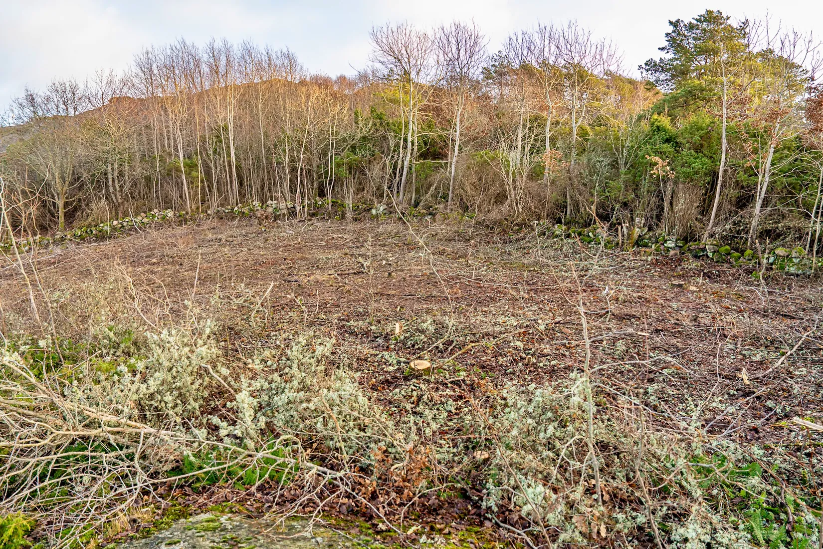 Tomt, Lilla Vallarnavägen 5, Skaftö, Lysekil