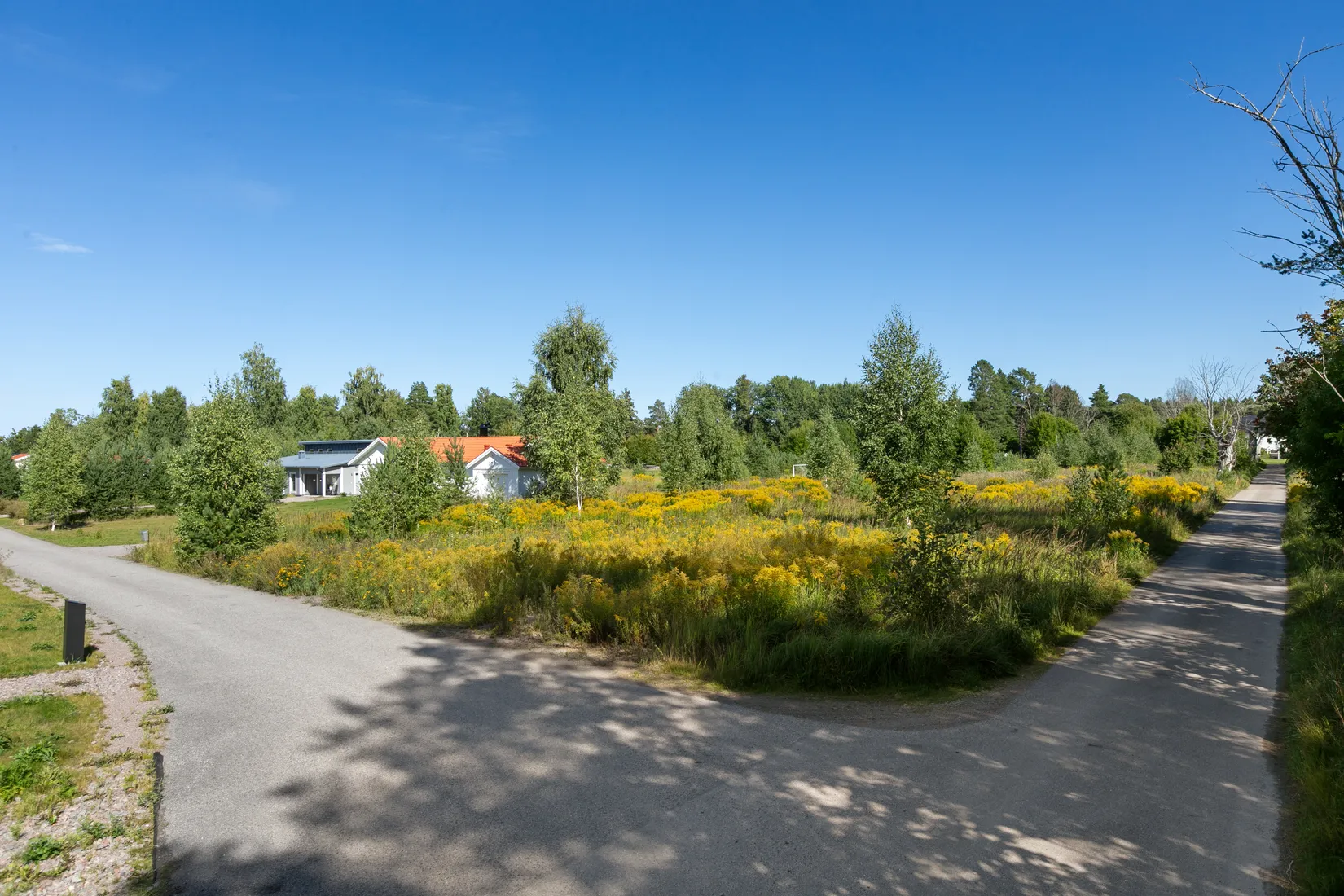 Tomt, Falluddsvägen 45, Falludden, Älvkarleö, Älvkarleby