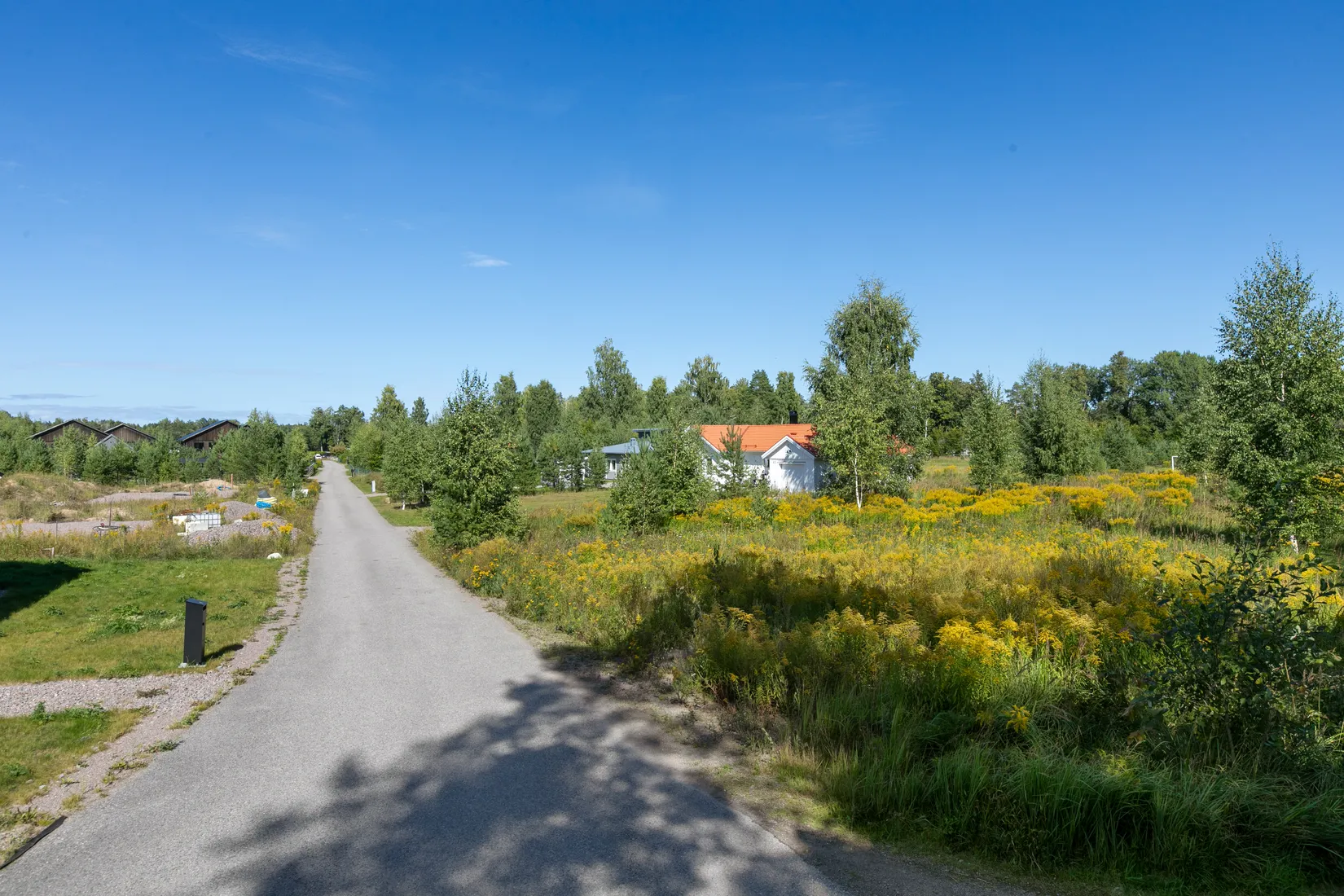 Tomt, Falluddsvägen 45, Falludden, Älvkarleö, Älvkarleby