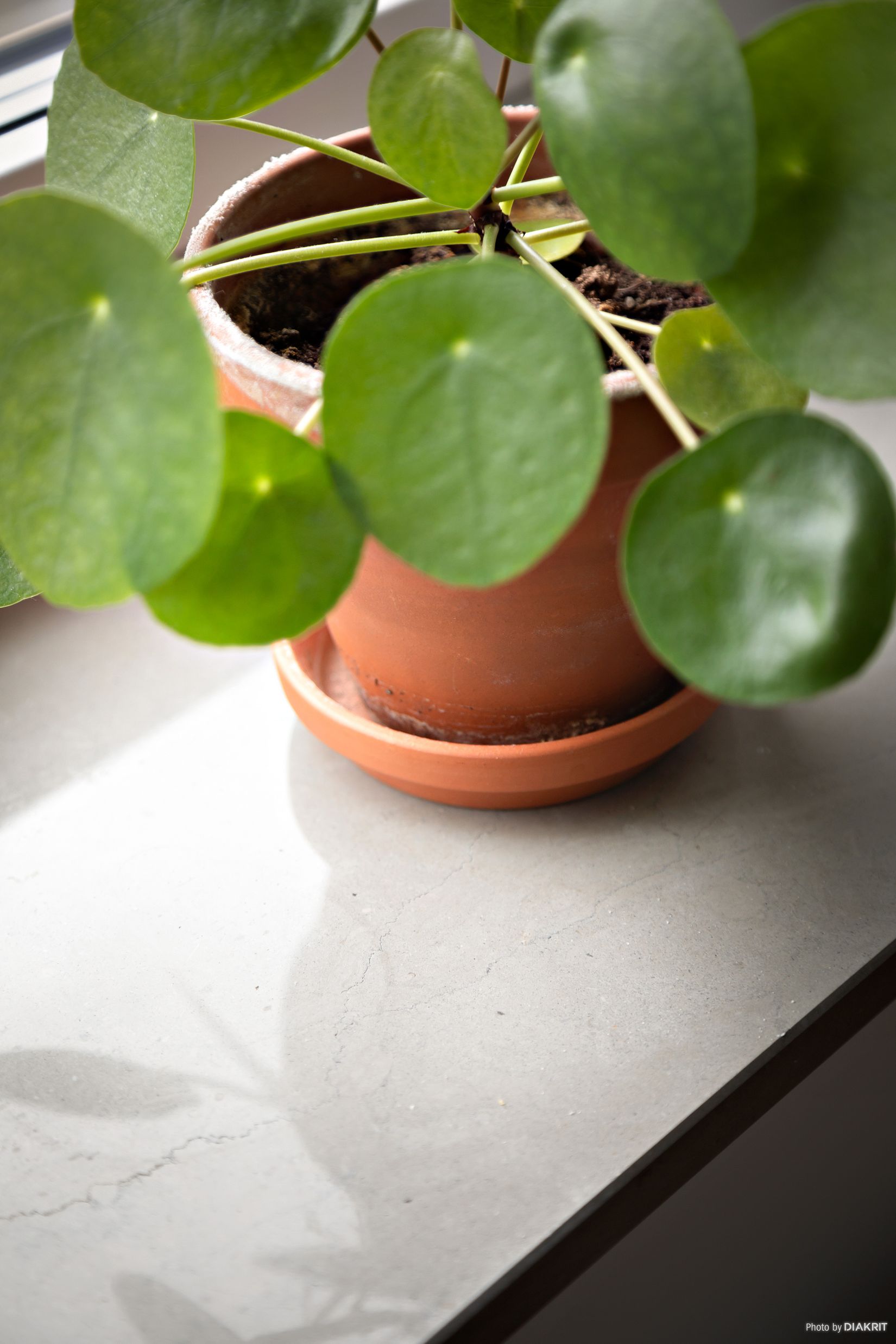 Bostadsrätt, Lergöksgatan 3A, Frölunda, Göteborg