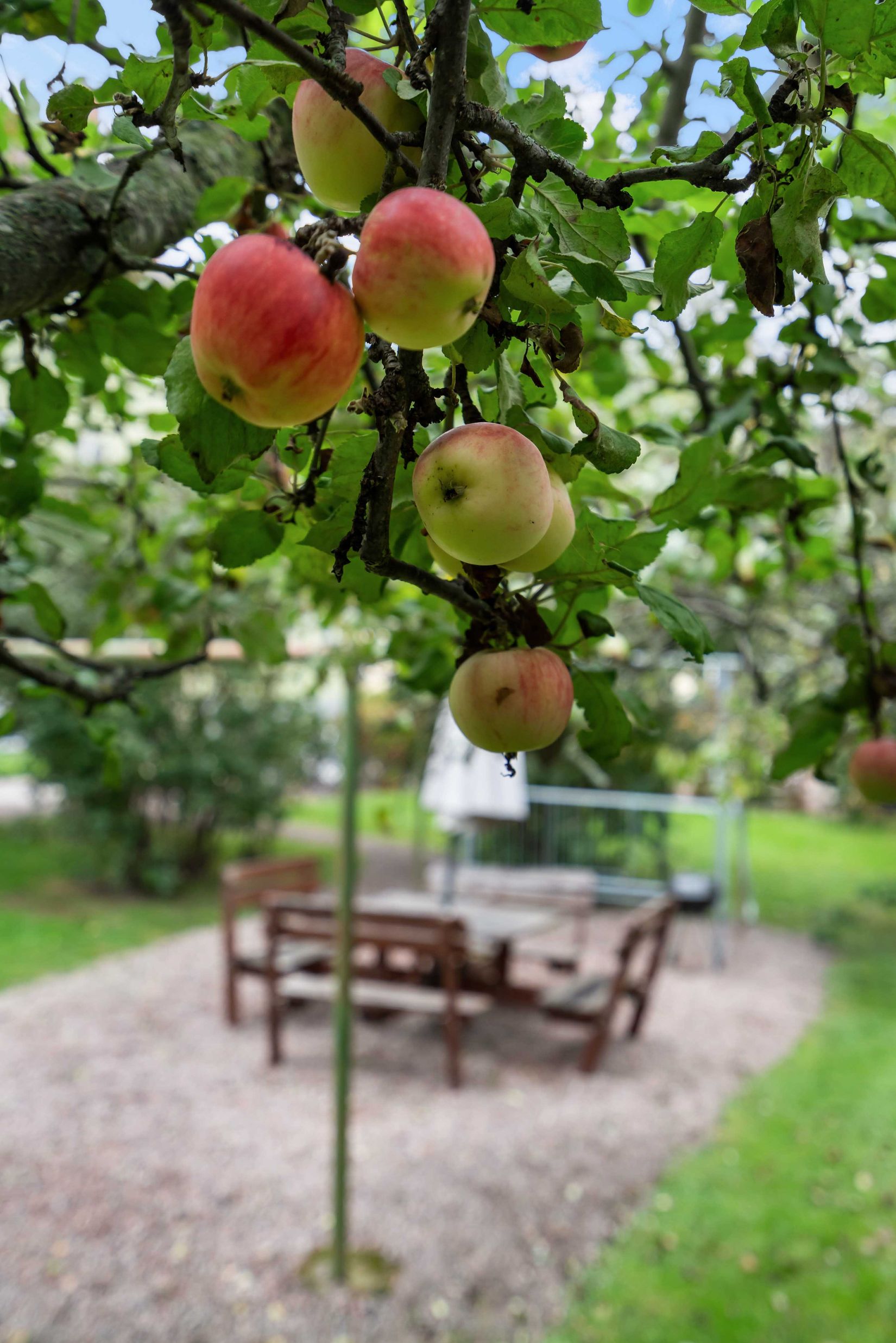 Bostadsrätt, Norrtäljegatan 16 B, Fålhagen, Uppsala