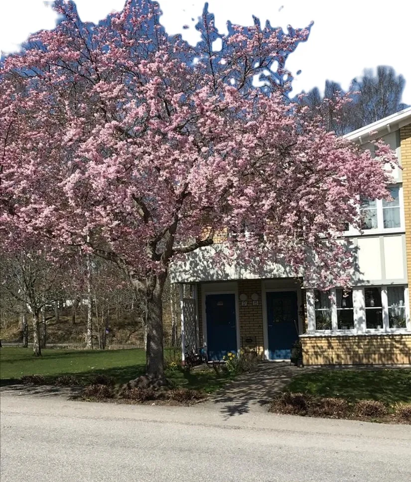 Bostadsrätt, Gryningsvägen 17, Björndalen, Trollhättan