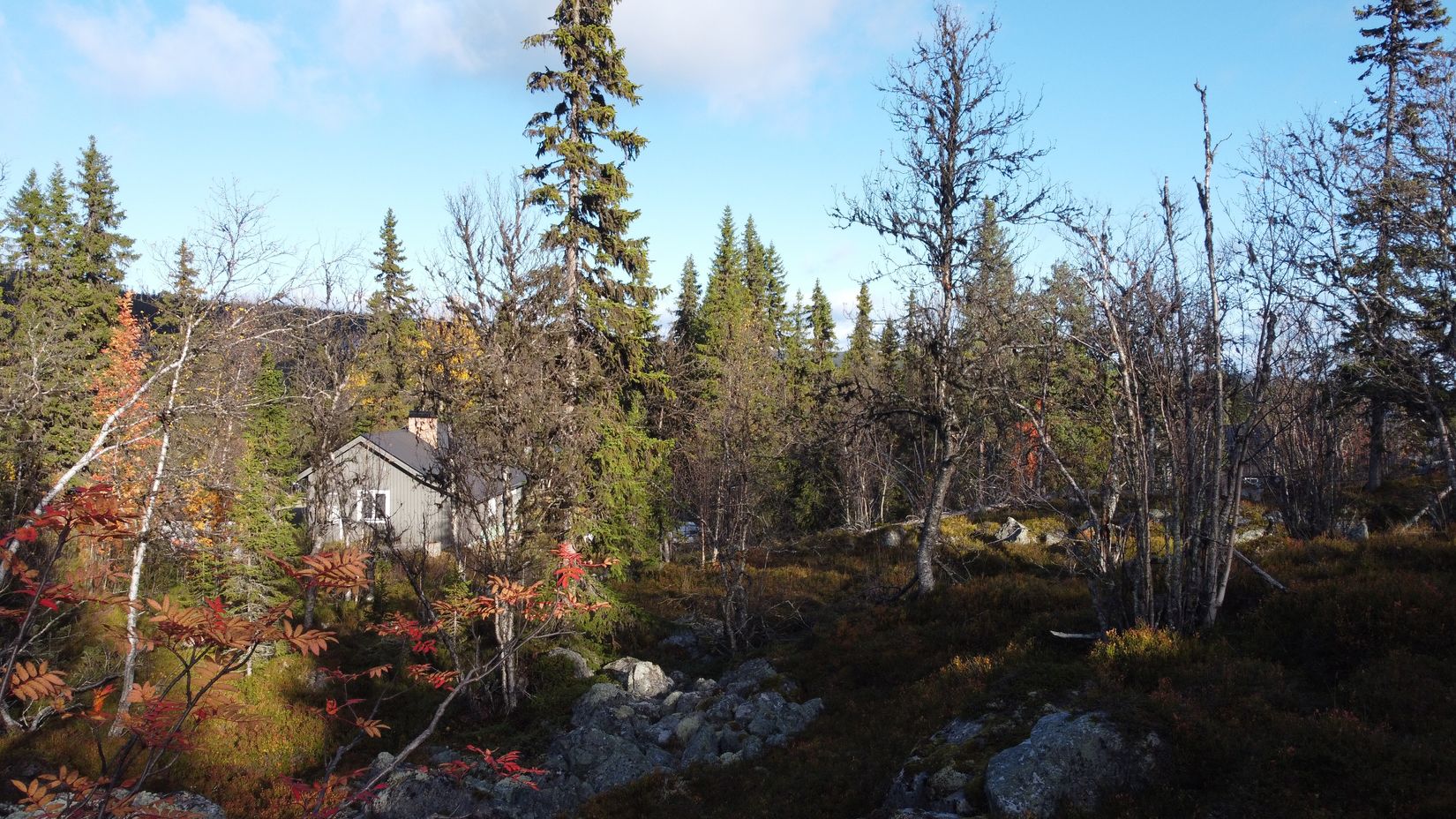 Tomt, Vemdalsskalet Karl XI:s väg 154B, Vemdalsskalet, Härjedalen