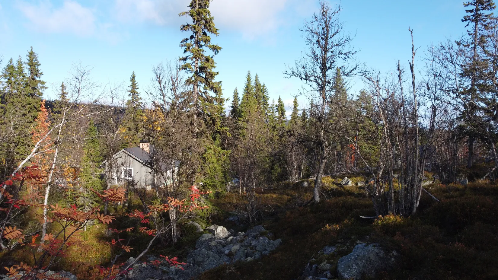 Tomt, Vemdalsskalet Karl XI:s väg 154B, Vemdalsskalet, Härjedalen