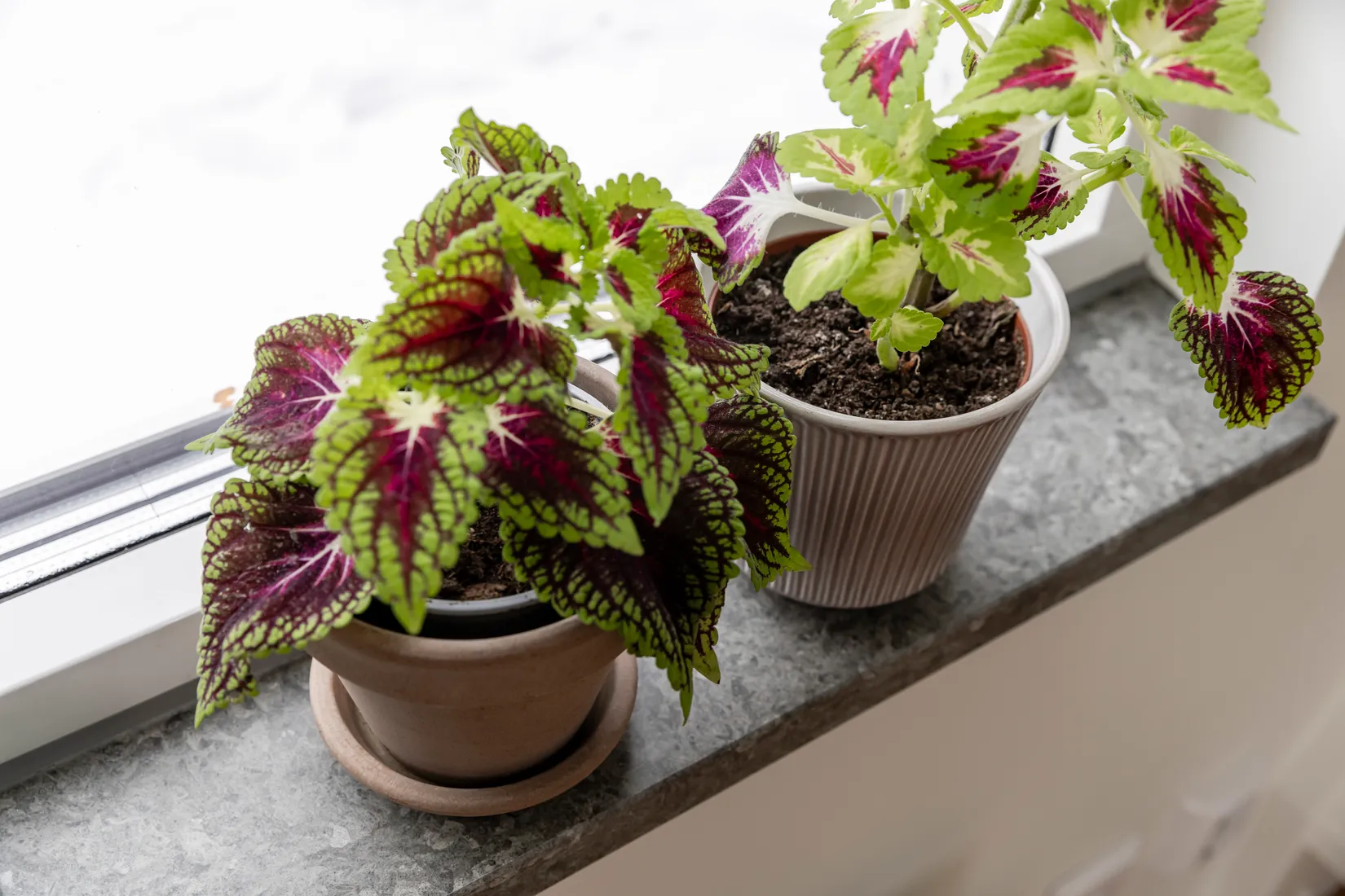 Bostadsrätt, Hemmings väg 20, Väsjön, Sollentuna