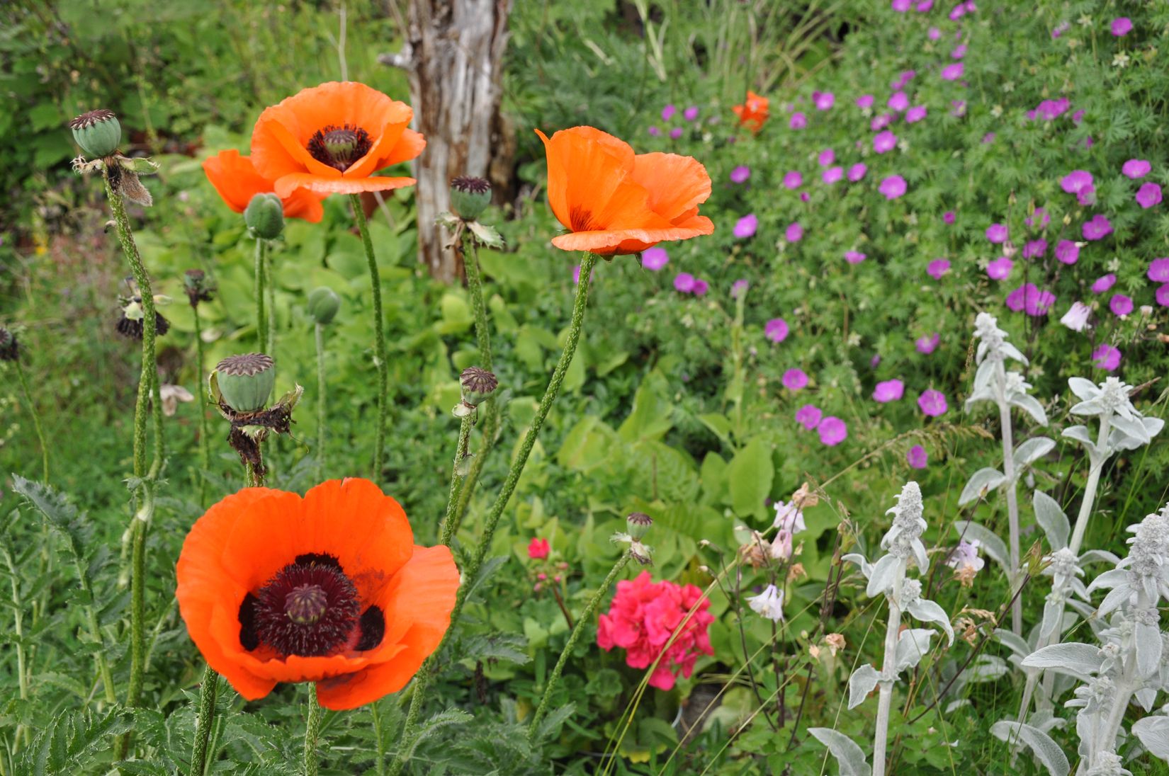 Fritidshus, Rågvägen 37, Ryssbo, Enköping