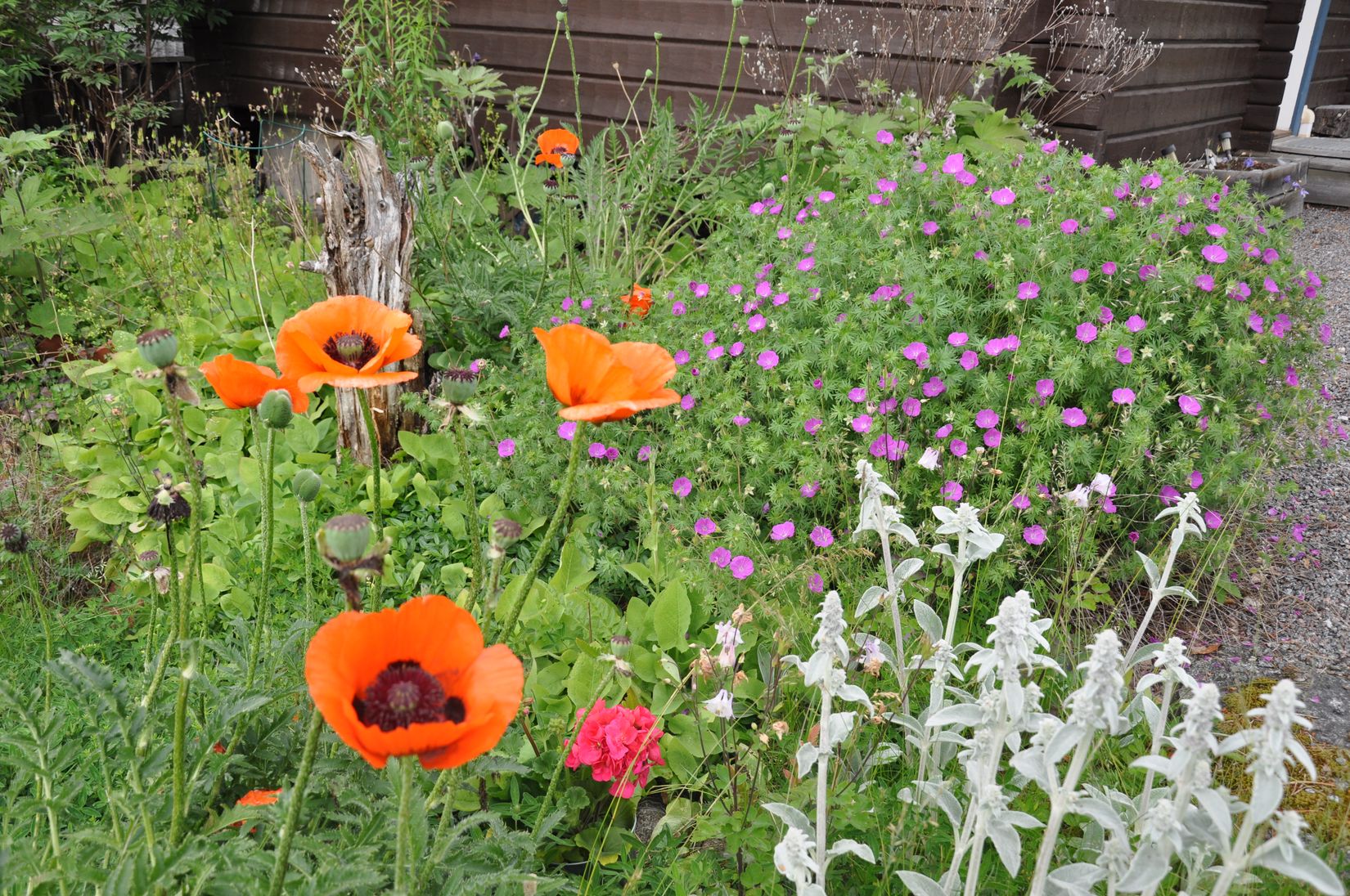 Fritidshus, Rågvägen 37, Ryssbo, Enköping