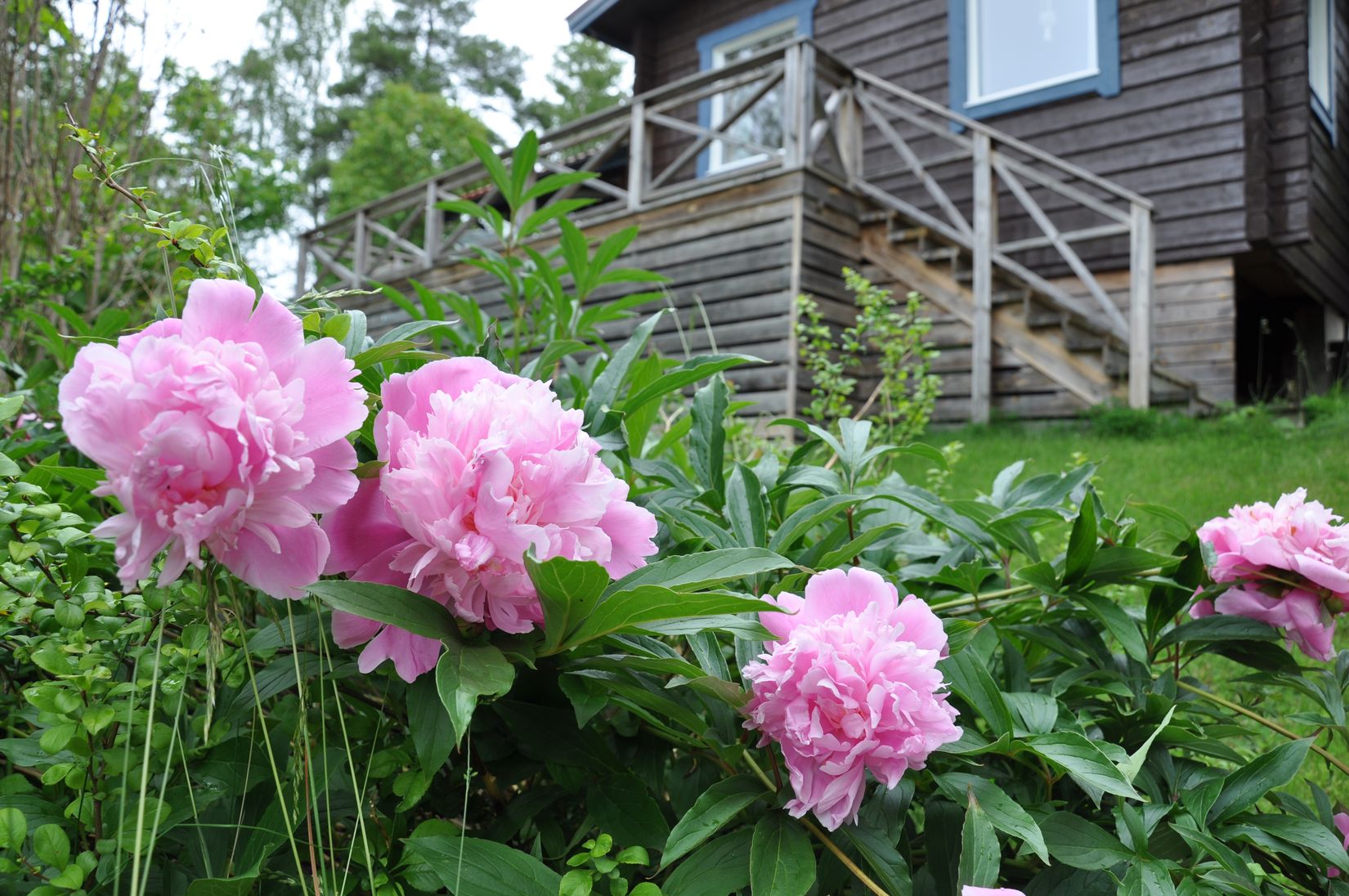 Fritidshus, Rågvägen 37, Ryssbo, Enköping