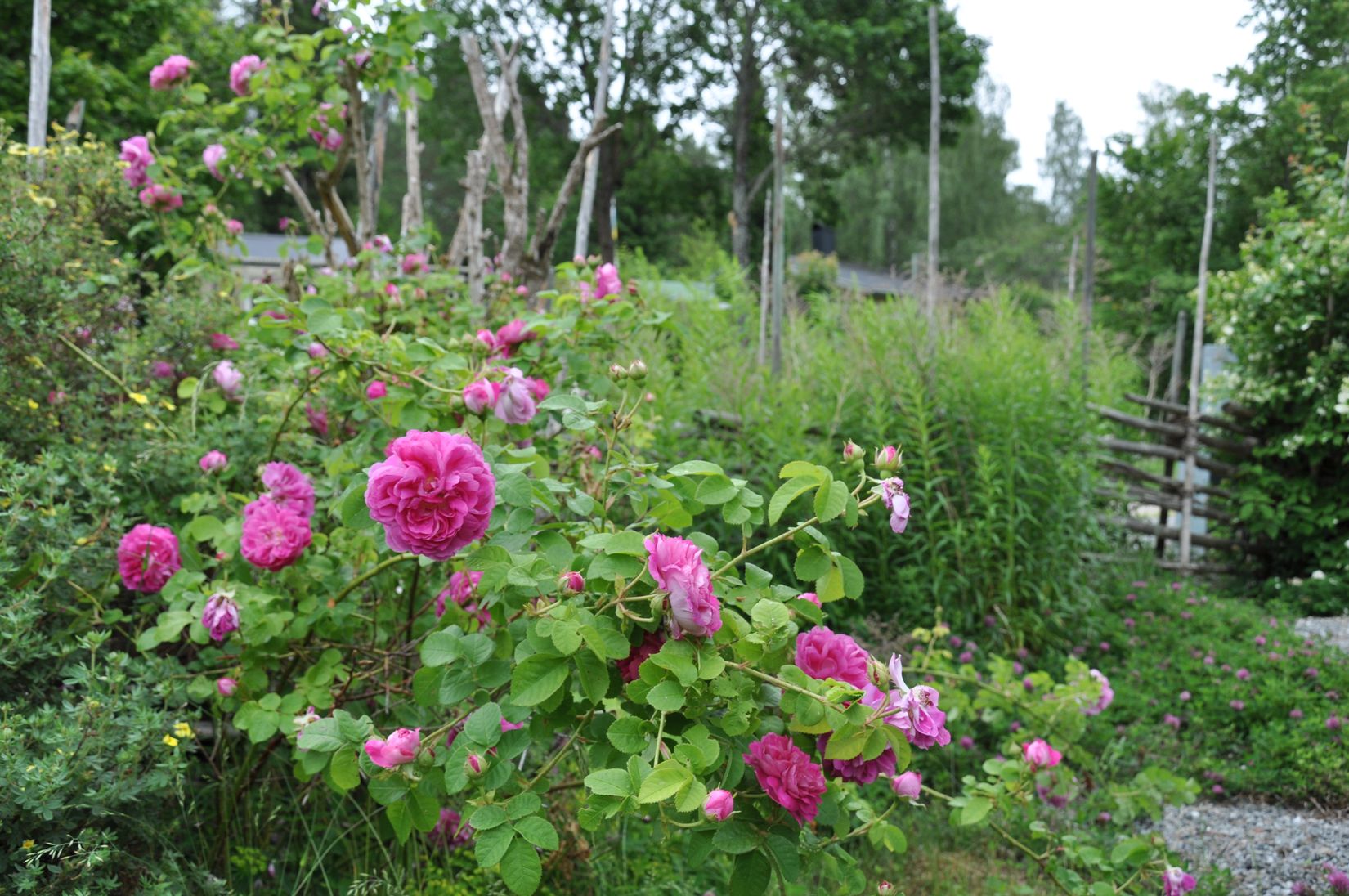 Fritidshus, Rågvägen 37, Ryssbo, Enköping