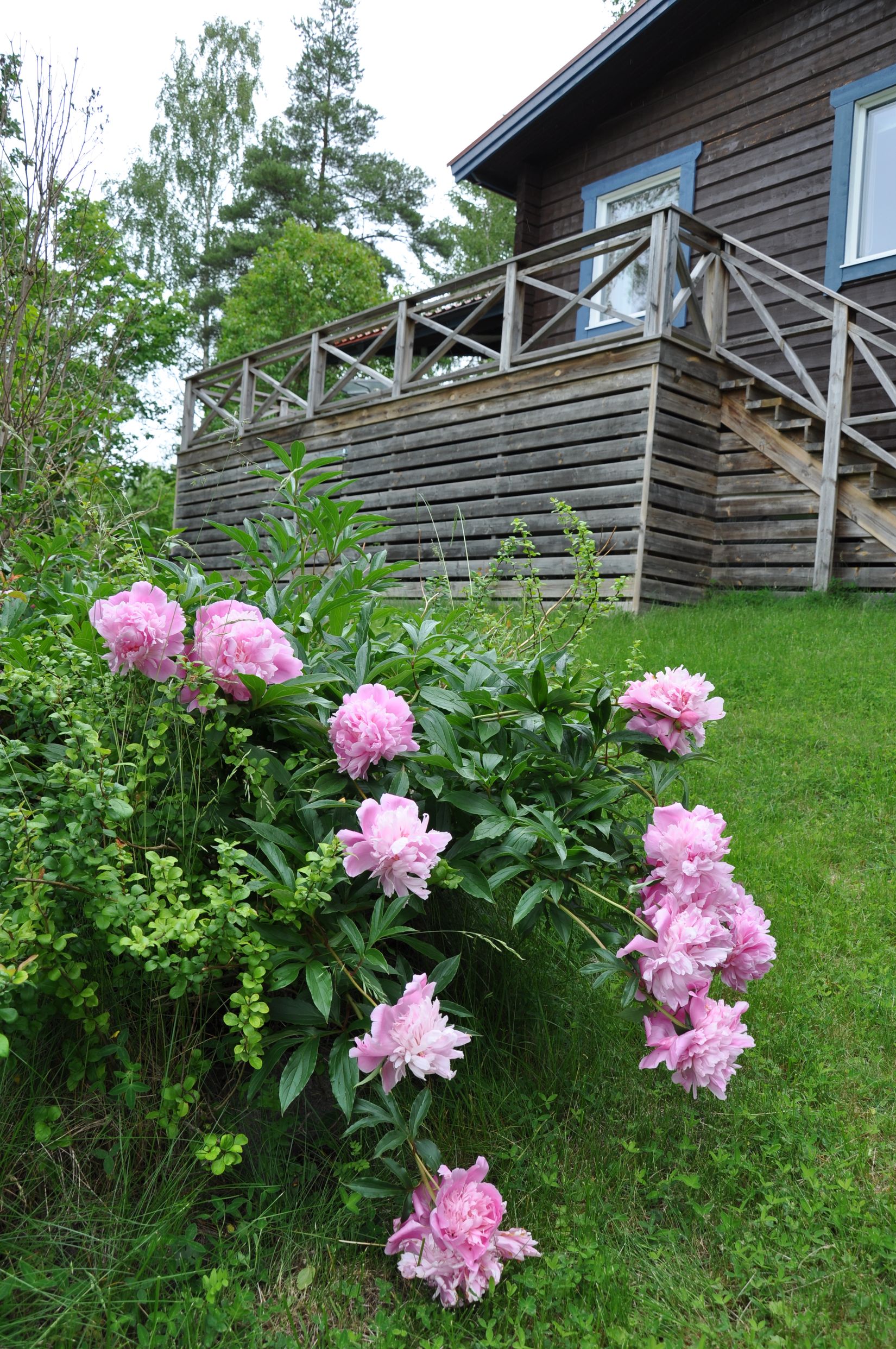 Fritidshus, Rågvägen 37, Ryssbo, Enköping